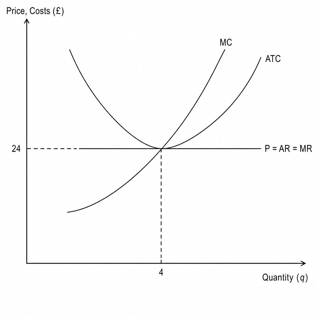 Perfect Competition Equilibrium