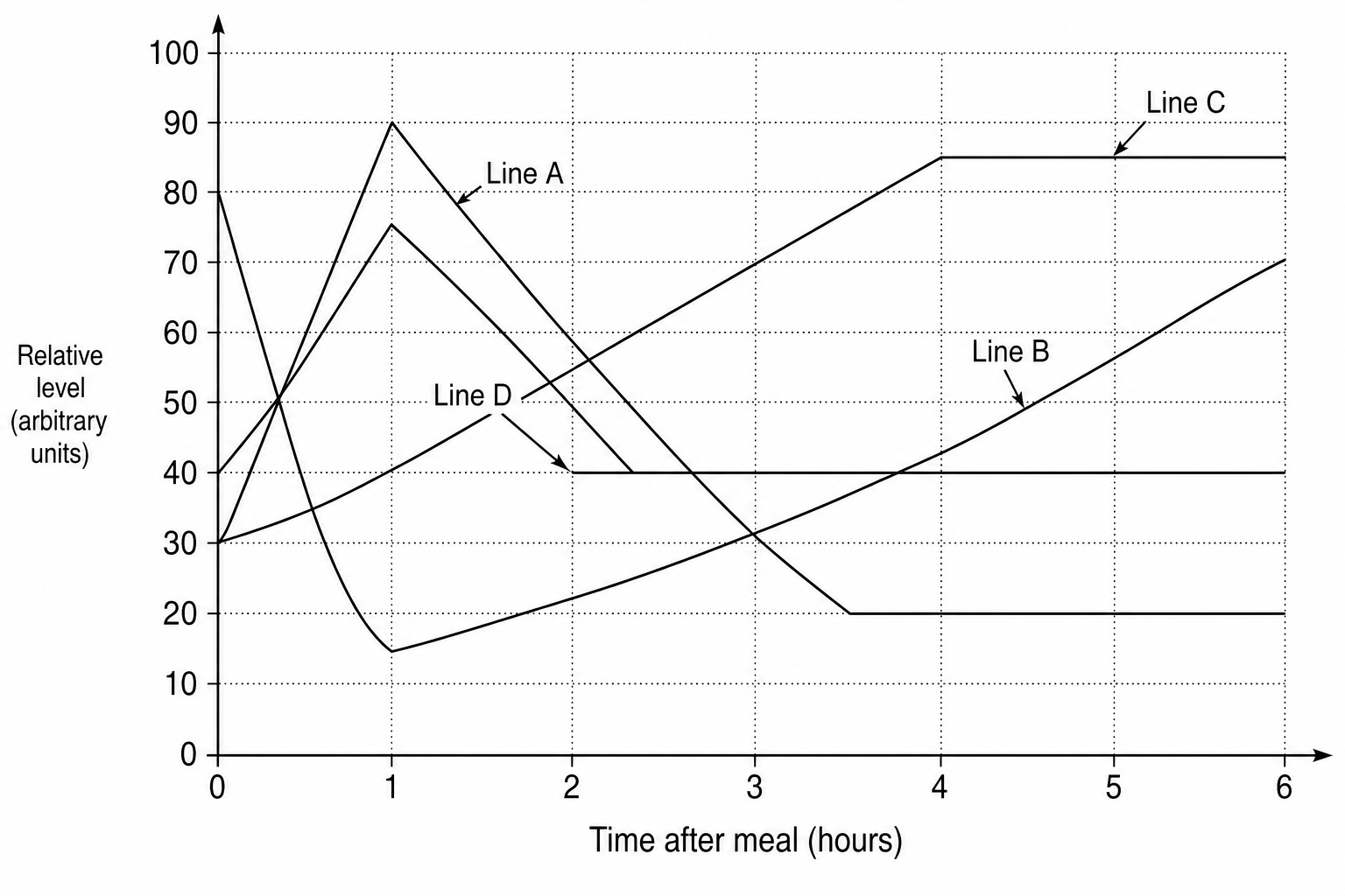 Physiological changes after a meal
