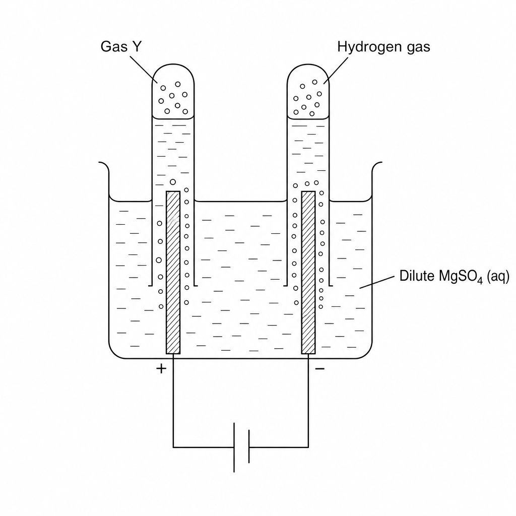 Electrolysis of dilute magnesium sulfate