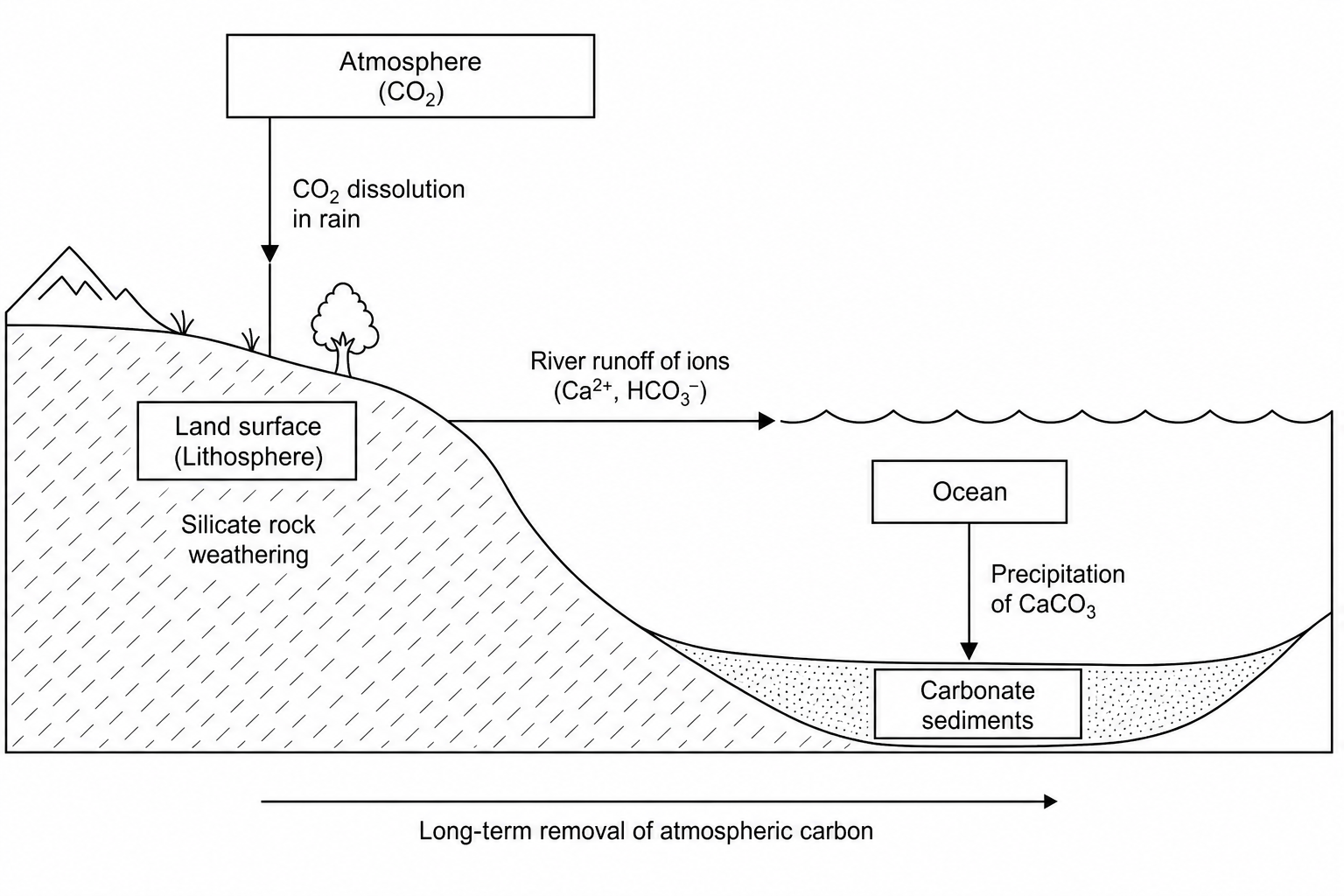 Carbonate-Silicate Cycle