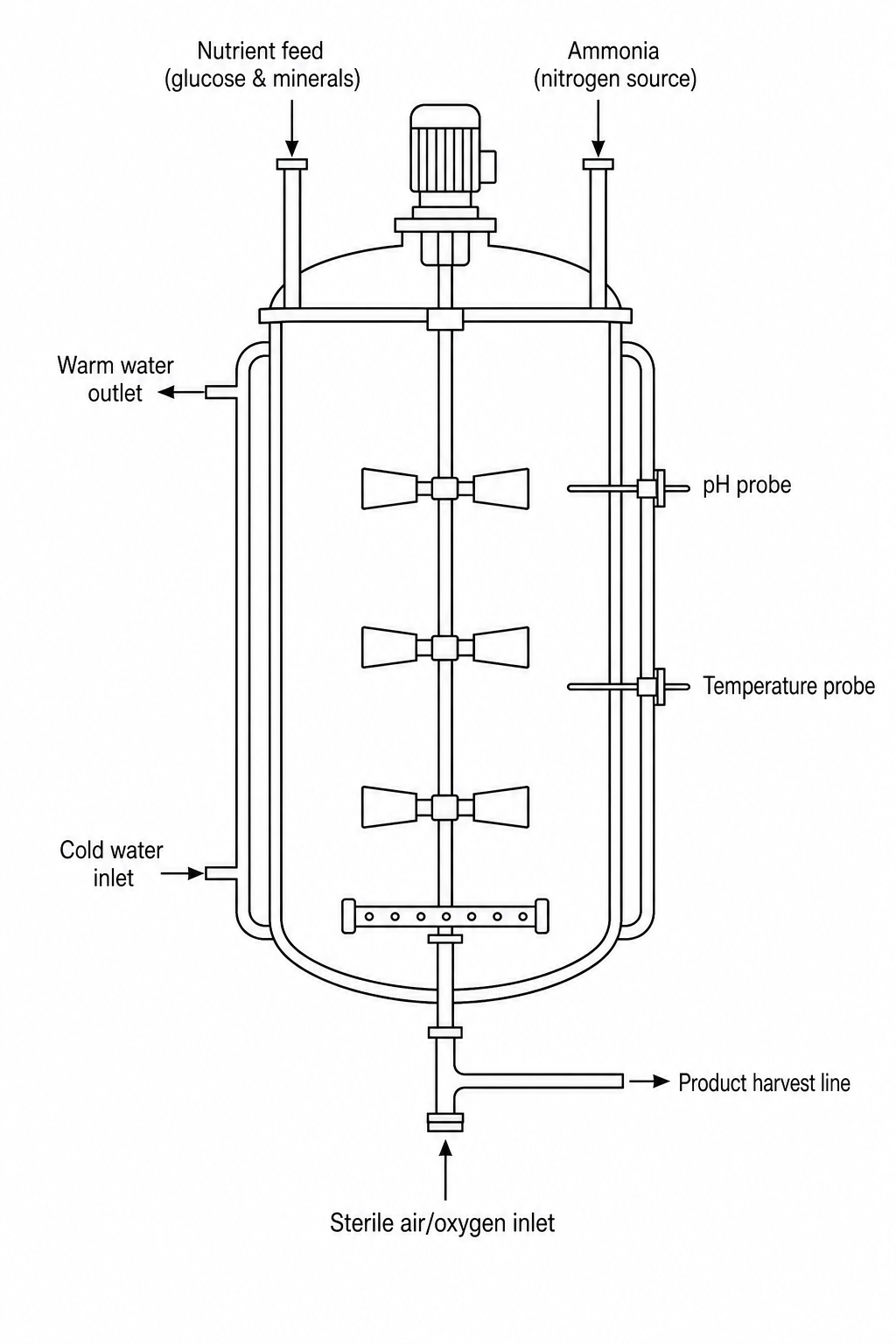 Industrial fermenter for mycoprotein production