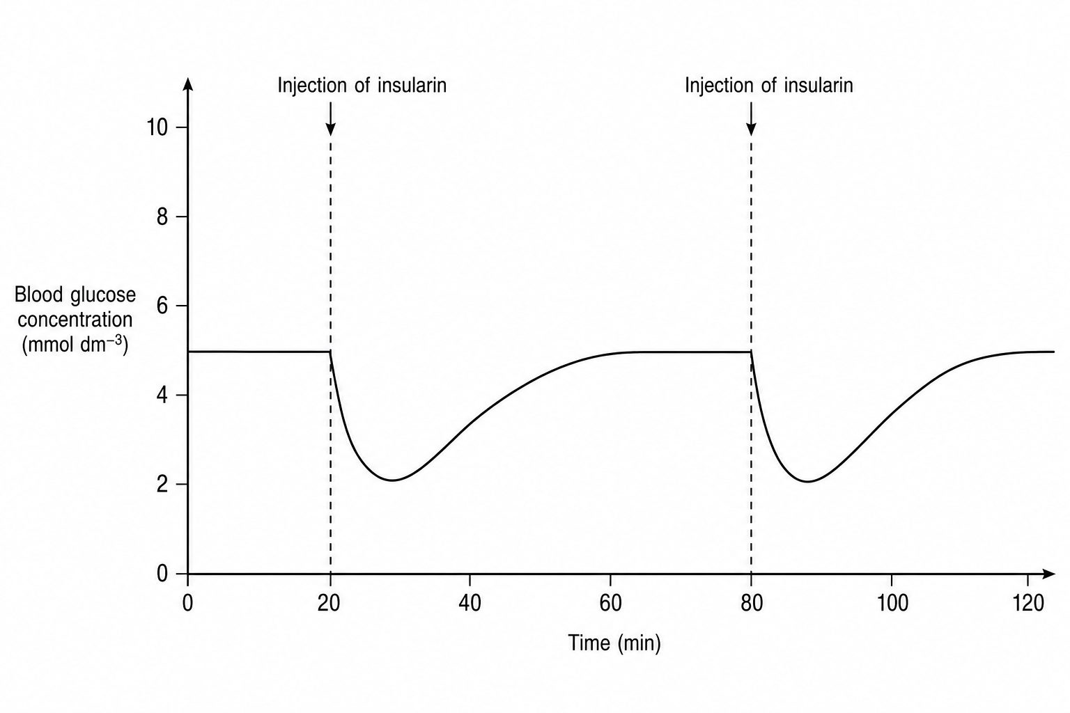 Experimental effects of insularin injections on blood glucose concentration over time