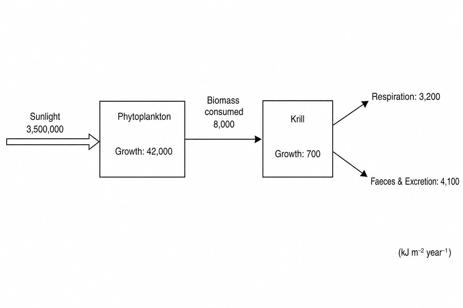 Figure 1: Energy flow through a marine food chain.