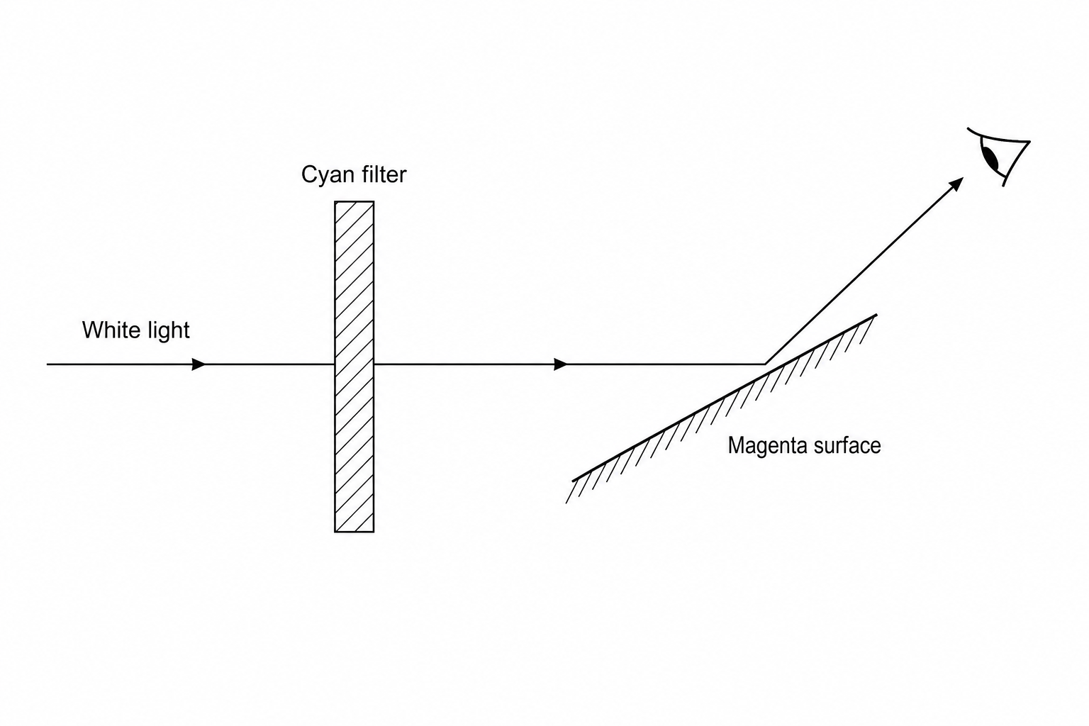 optical path