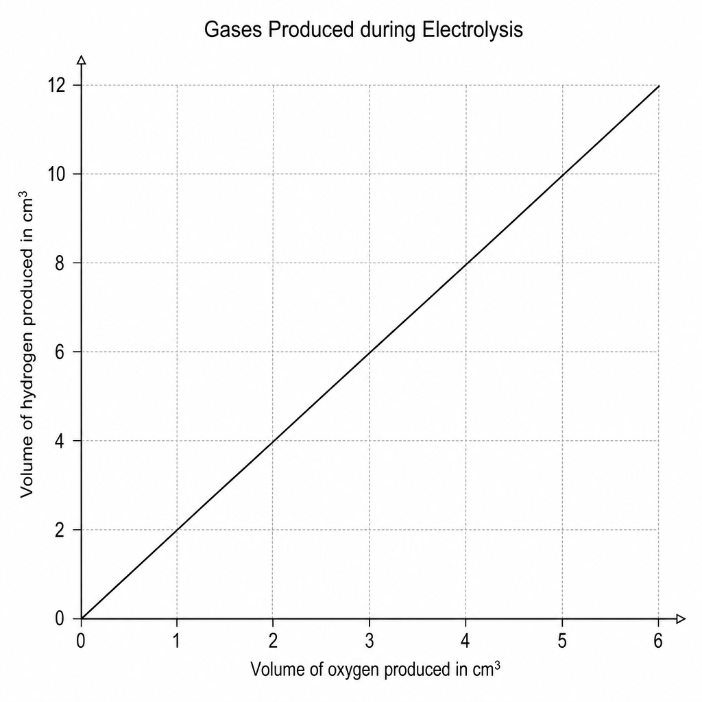 Gases Produced during Electrolysis