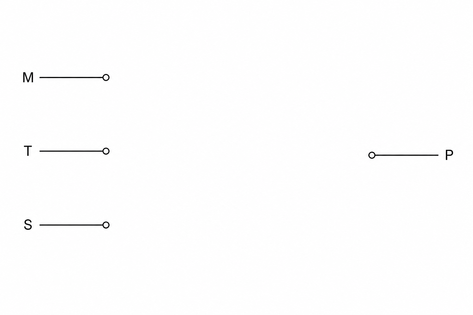A logic circuit template with three input terminals on the left labeled M, T, and S, and a single output terminal on the right labeled P.