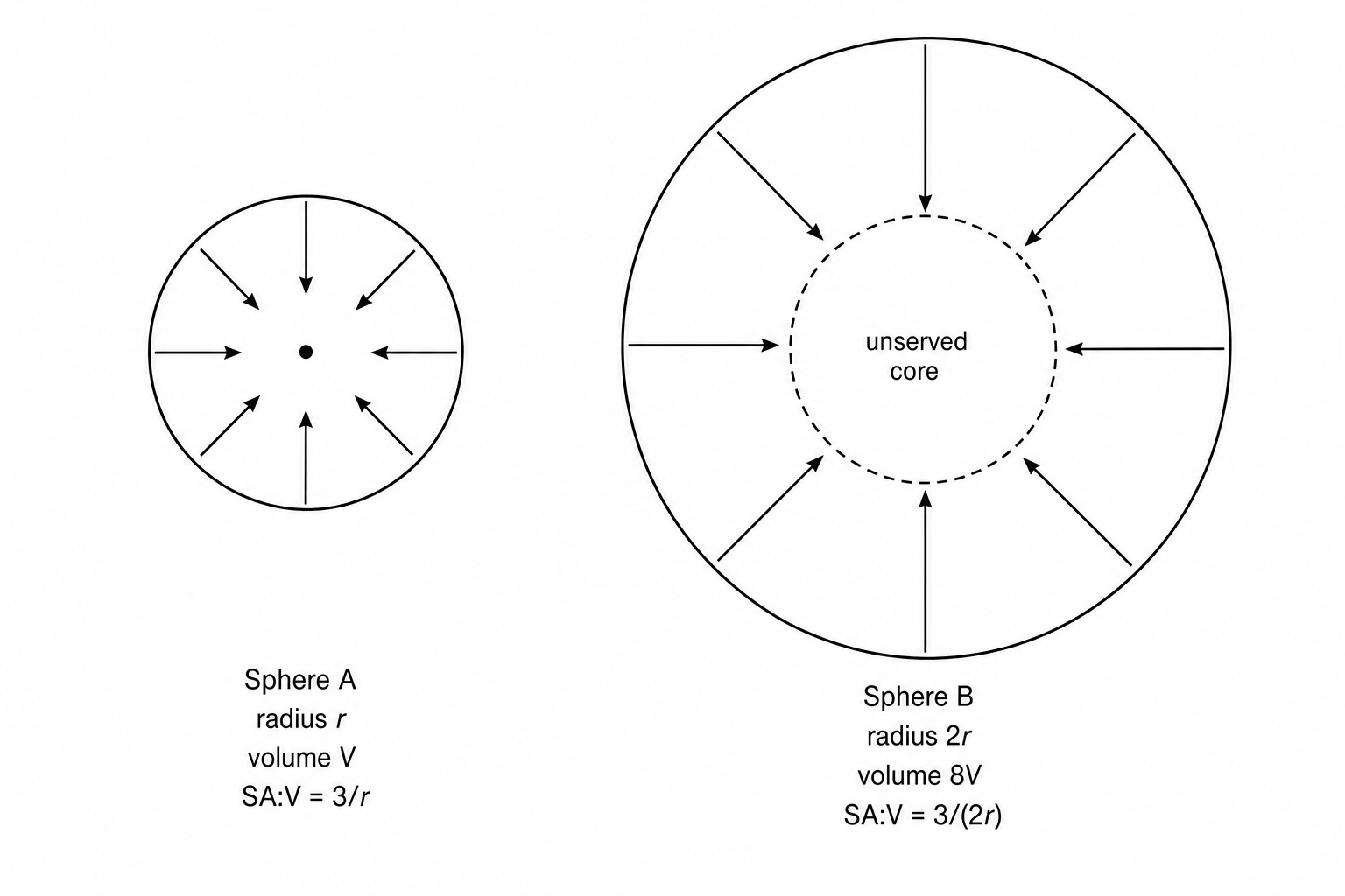 Cell scaling and diffusion