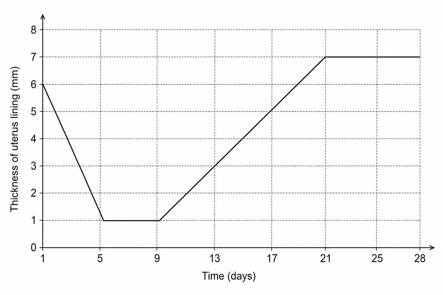 Uterus Lining Thickness over a 28-day Cycle