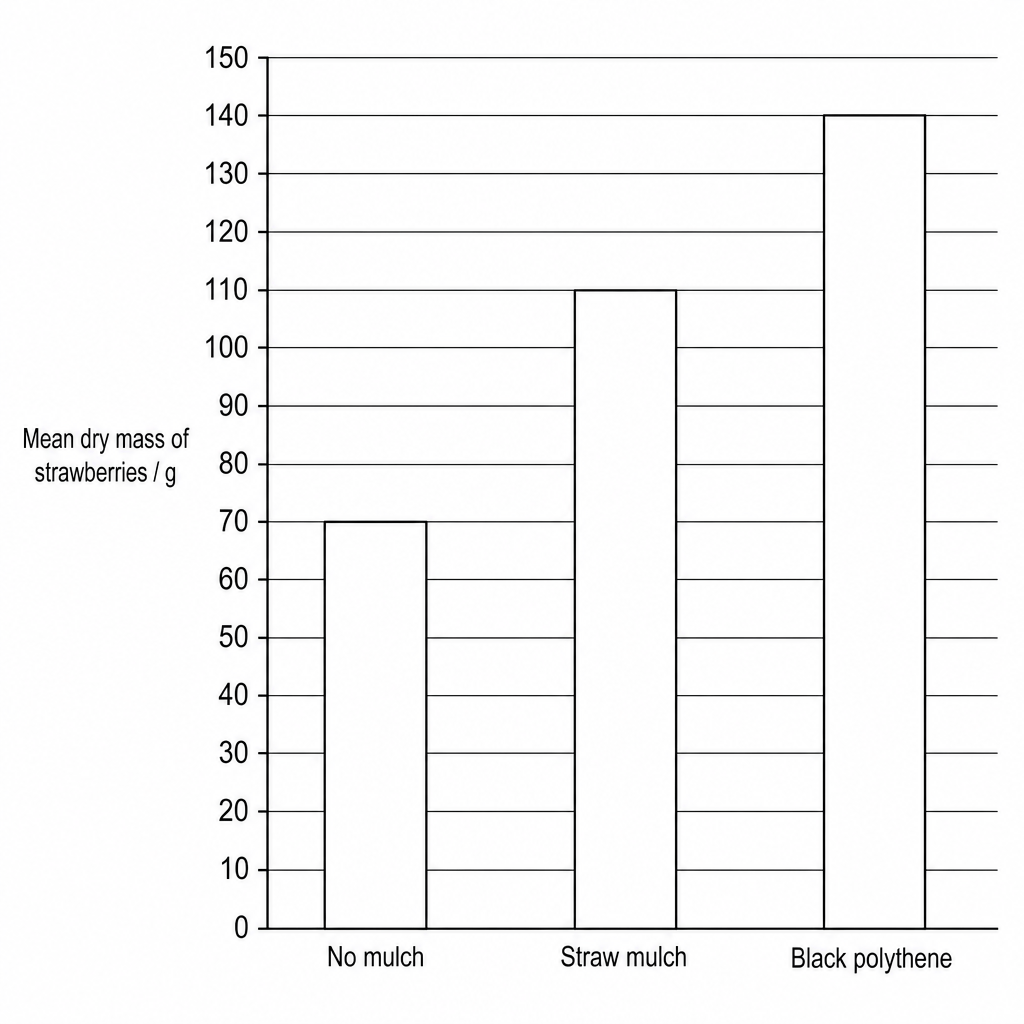 Bar chart of mean dry mass of strawberries