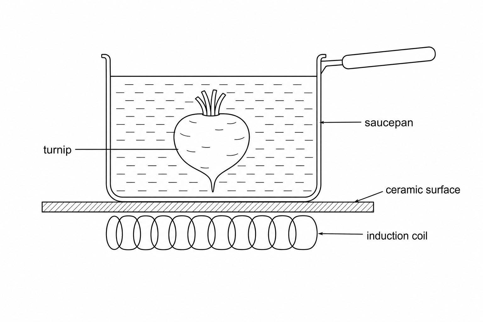 Diagram showing a metal saucepan containing water and a turnip sitting on a ceramic cooker surface. Directly beneath the ceramic cooker surface is a wound wire coil labelled 'induction coil'.