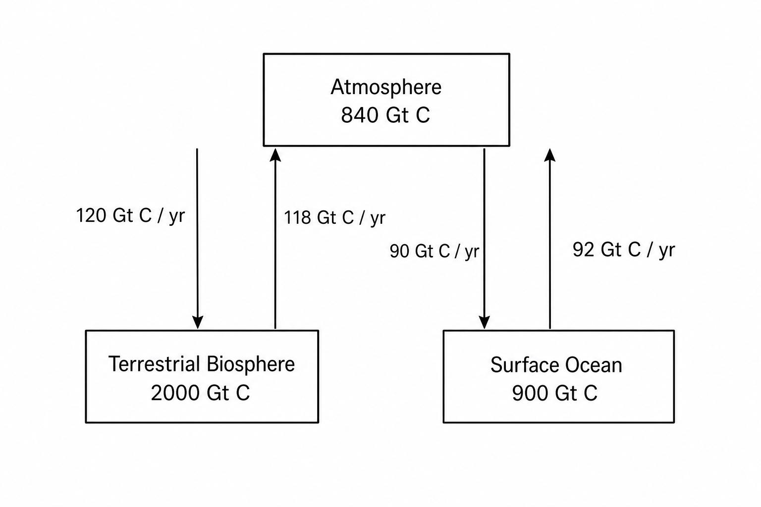 Global Carbon Cycle
