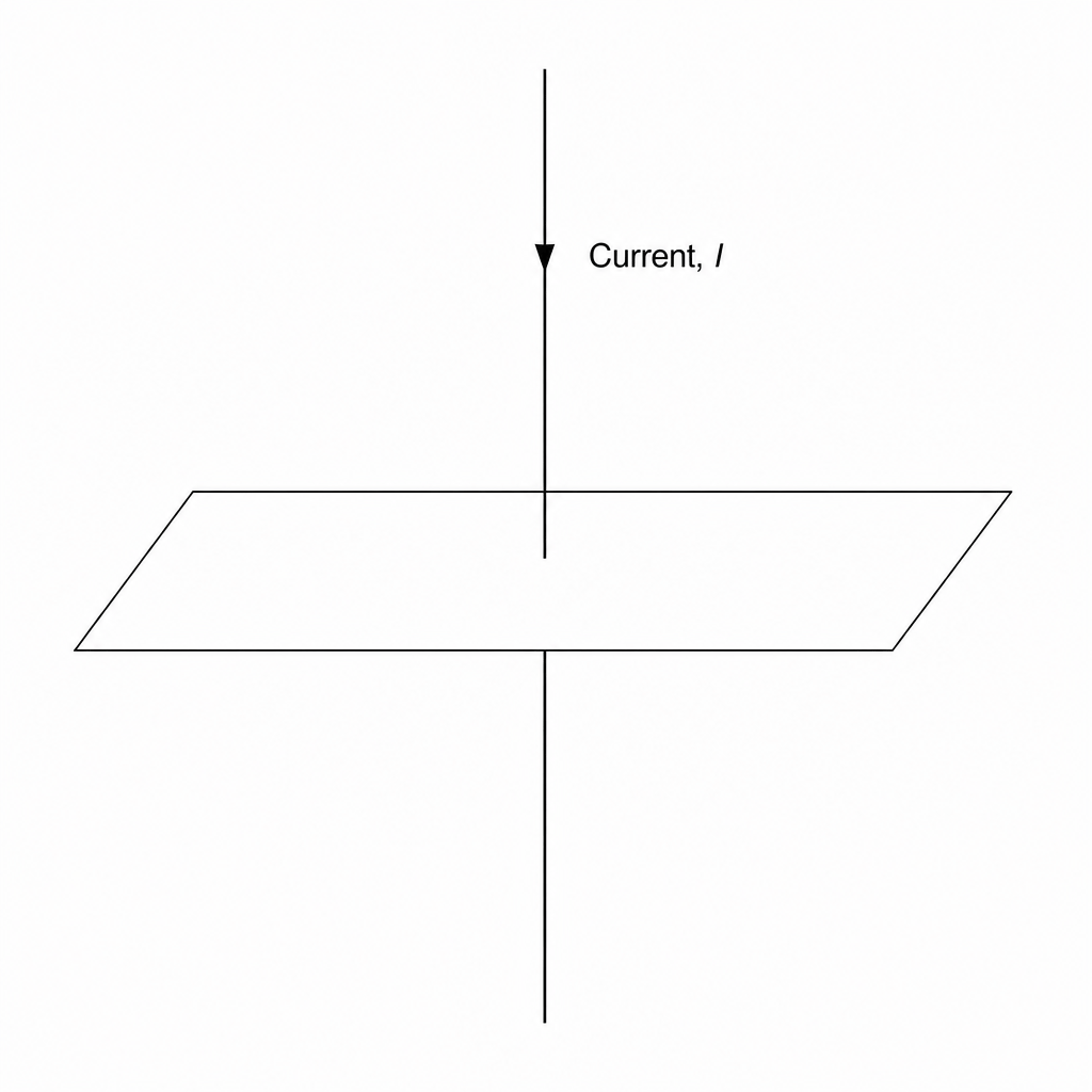 A vertical conductor passing downwards through a horizontal plate