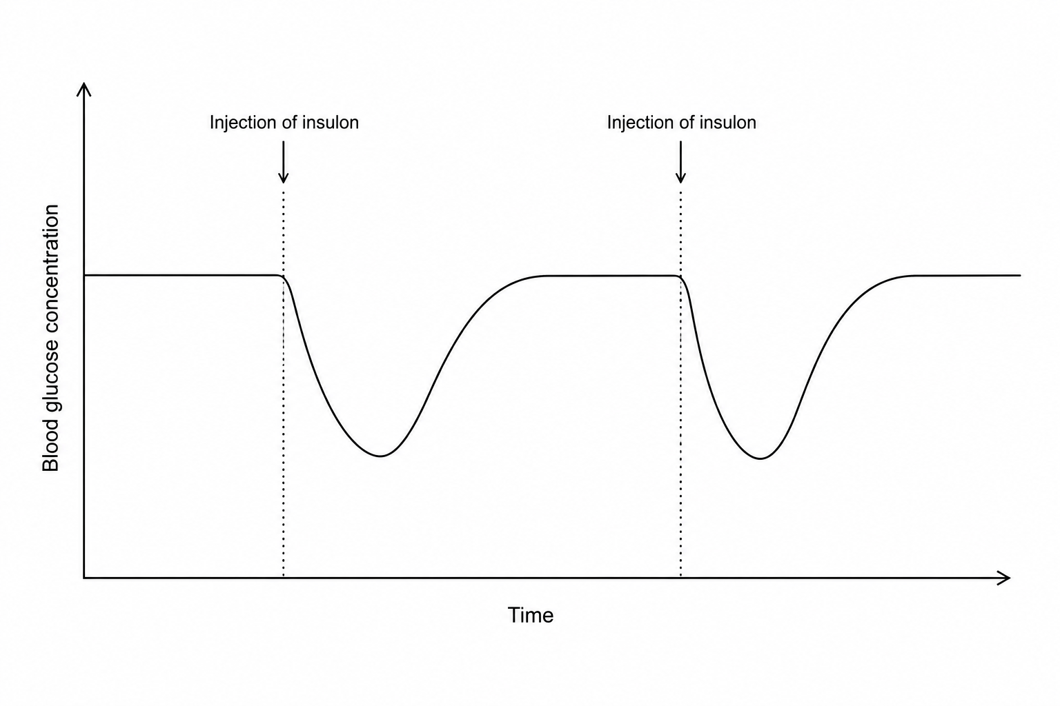 Blood glucose levels after insulon injections