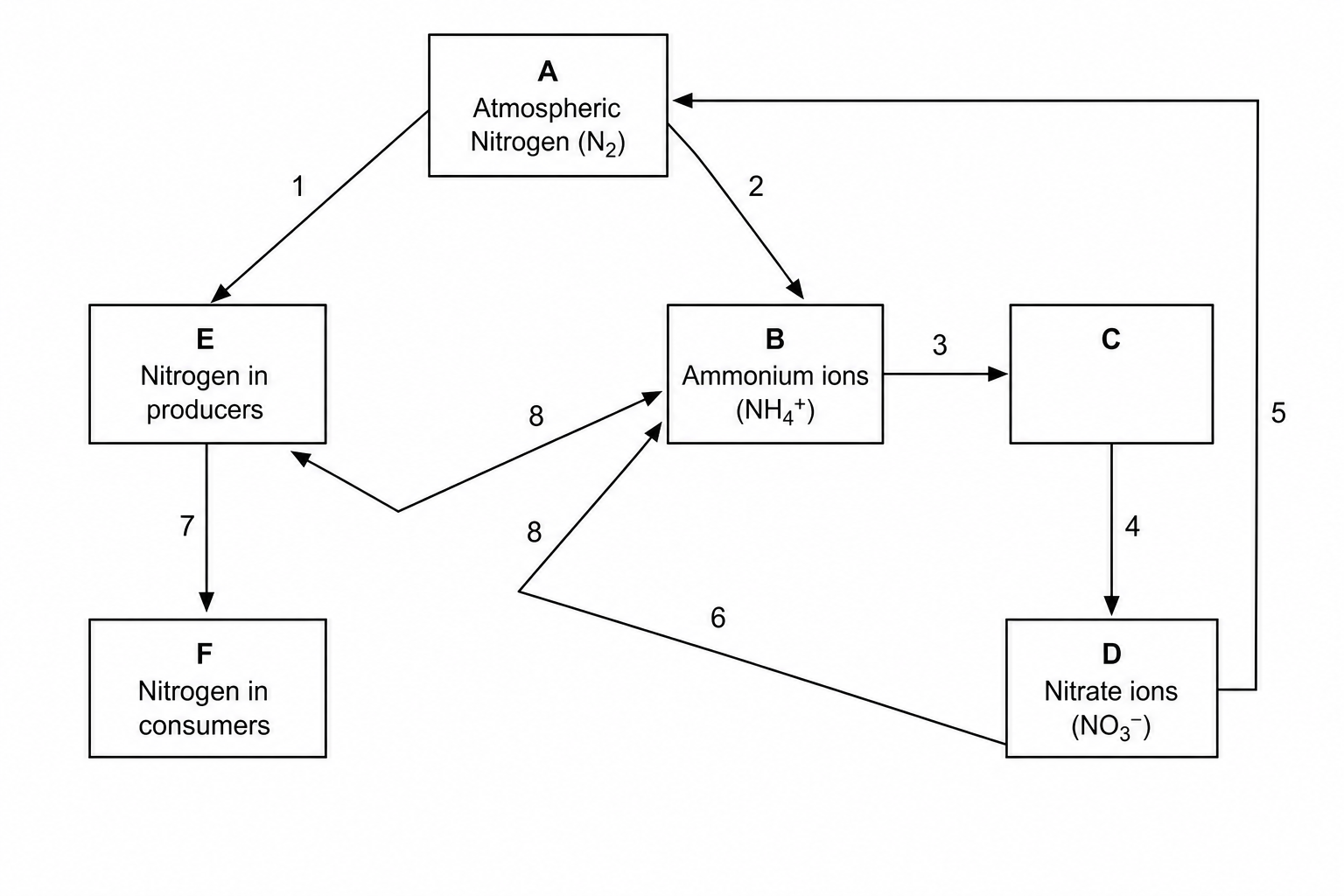 Nitrogen Cycle Schematic