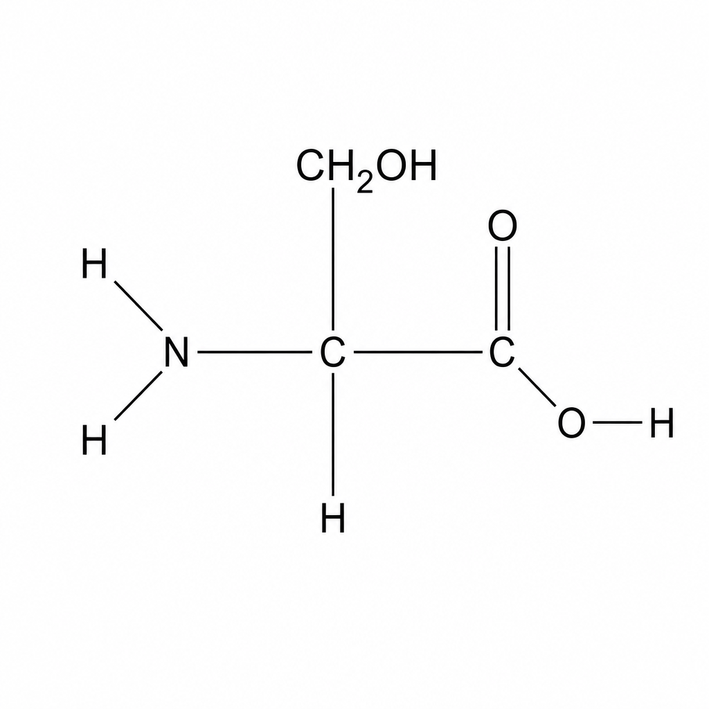 Displayed structural formula of the amino acid serine.