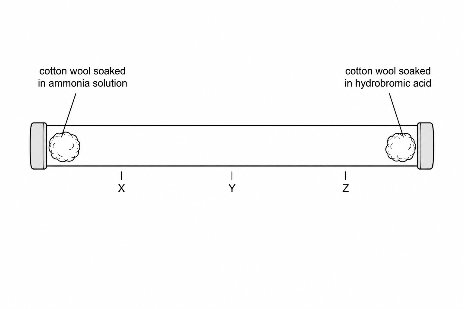 A long horizontal glass tube sealed with rubber bungs at both ends. On the left inside of the tube, there is cotton wool soaked in ammonia solution. On the right inside of the tube, there is cotton wool soaked in concentrated hydrobromic acid. Below the tube, three points are labeled: 'X' is near the left-middle section, 'Y' is at the center, and 'Z' is near the right-middle section close to the hydrobromic acid.