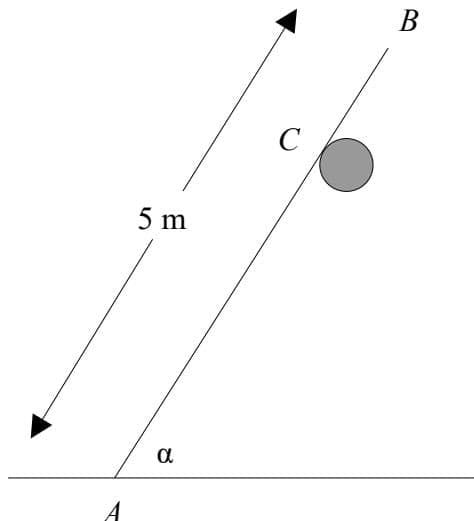Ladder resting against a smooth horizontal rail