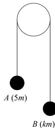 Diagram for Question 13: A pulley system with two particles, A and B, connected by a string over a smooth, fixed pulley. Particle A has a mass of 5m and hangs vertically. Particle B has a mass of km and hangs vertically. The string is taut and the hanging parts are vertical.