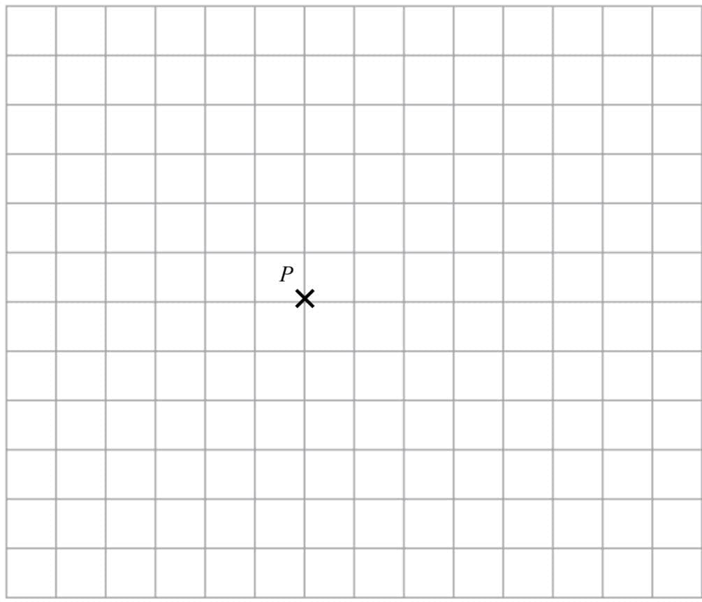 A 14x14 grid with a point P marked by an X near the center.