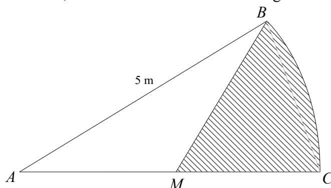 Diagram of a circle sector ABC with center A, radius 5 m, and angle BAC = 0.5 radians. M is the midpoint of AC. The shaded region is the area bounded by the arc BC and the line segments BM and MC.