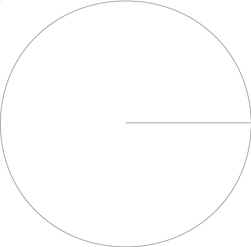 A large circle for drawing a pie chart.