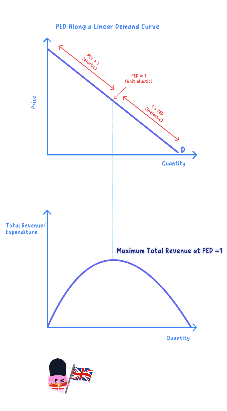 Variation in price elasticity of demand along the length of a straight-line demand curve