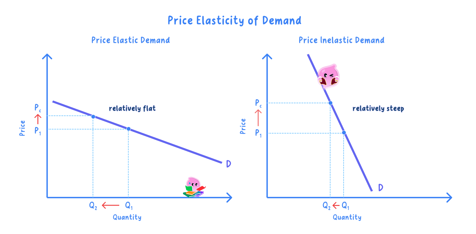 Two demand curves compared, a steep one showing price inelastic demand and a shallow one showing price elastic demand.