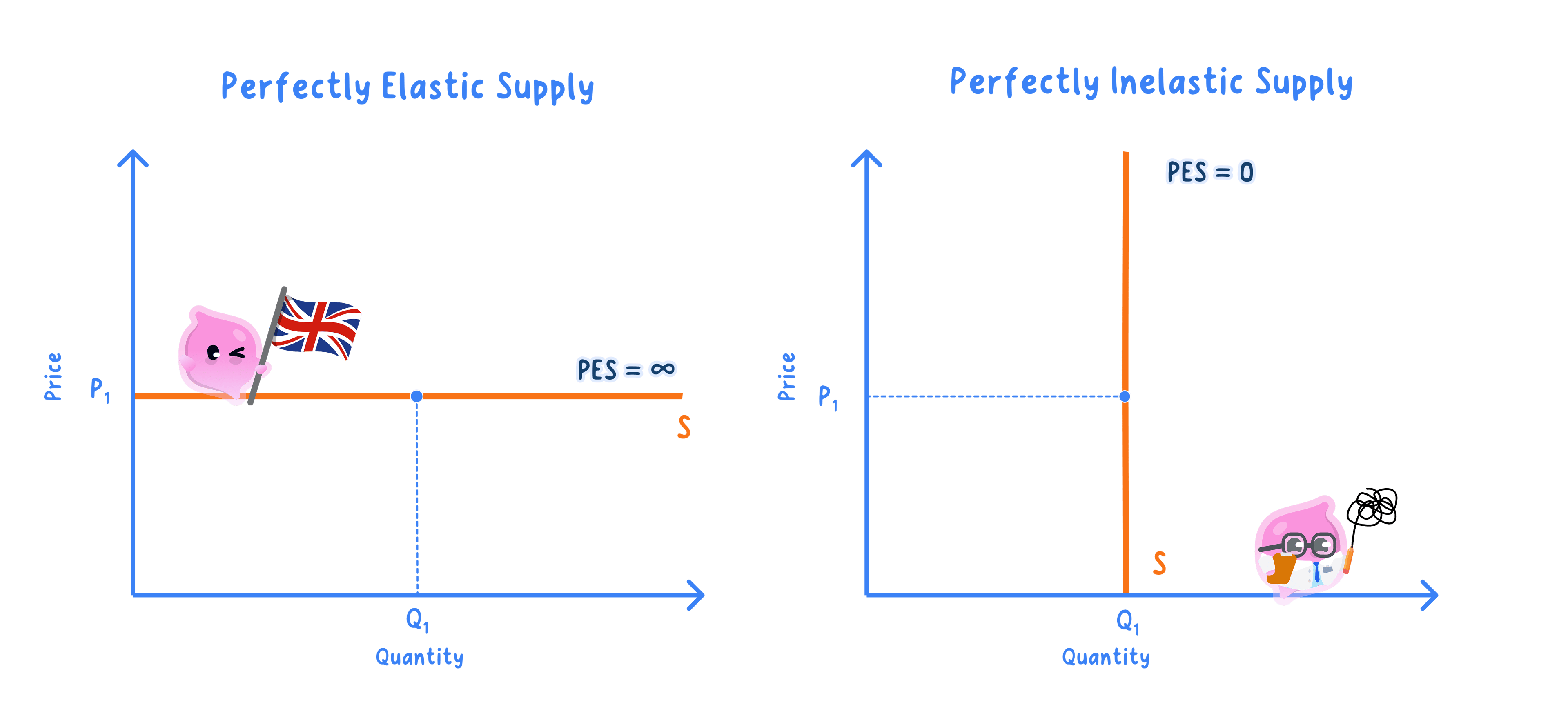 Two diagrams side by side: on the left a horizontal supply curve labelled S at price P1 showing perfectly elastic supply with PES equal to infinity, and on the right a vertical supply curve labelled S at quantity Q1 showing perfectly inelastic supply with PES equal to 0.
