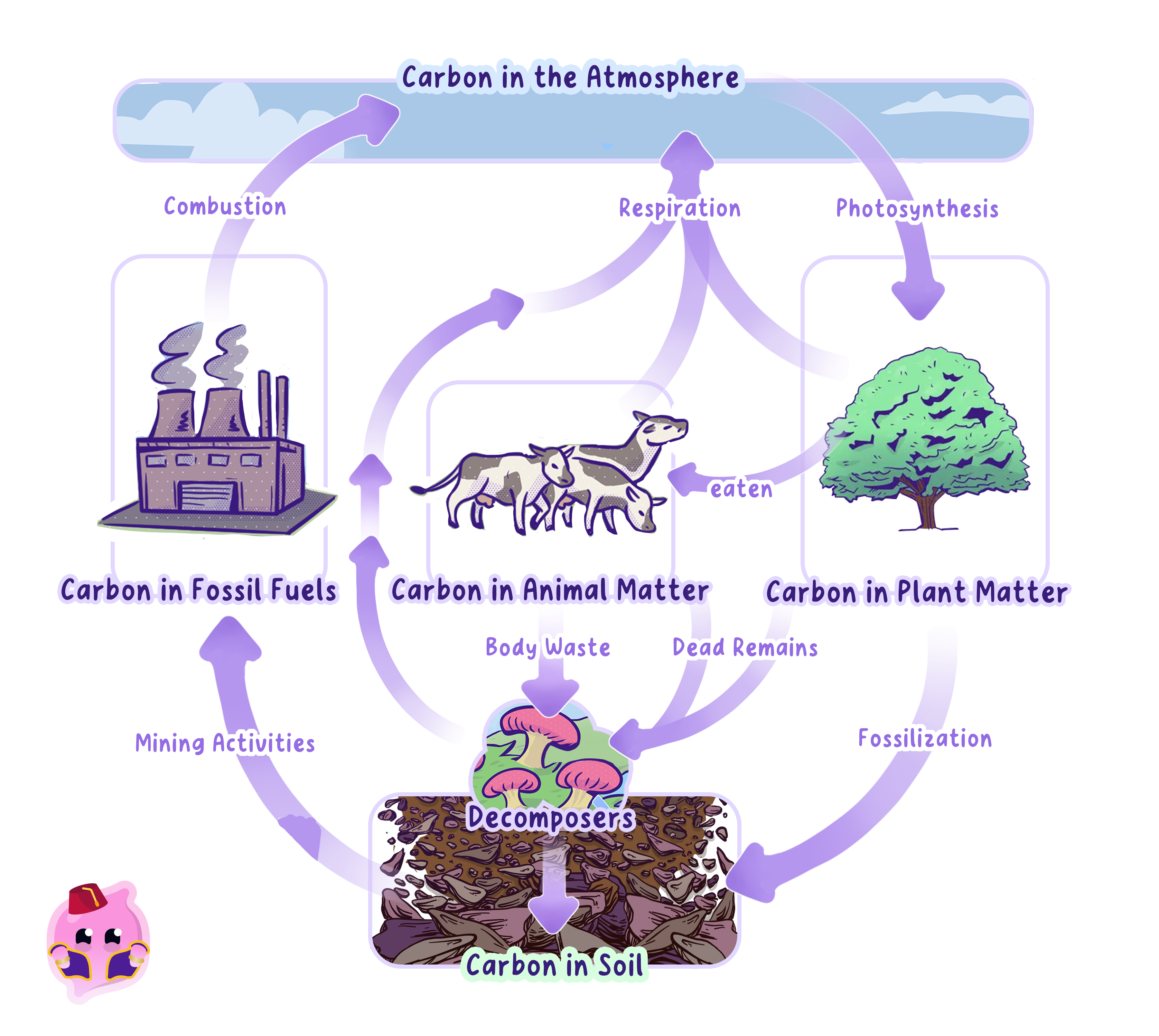 carbon-cycle-24c14283-genie.png