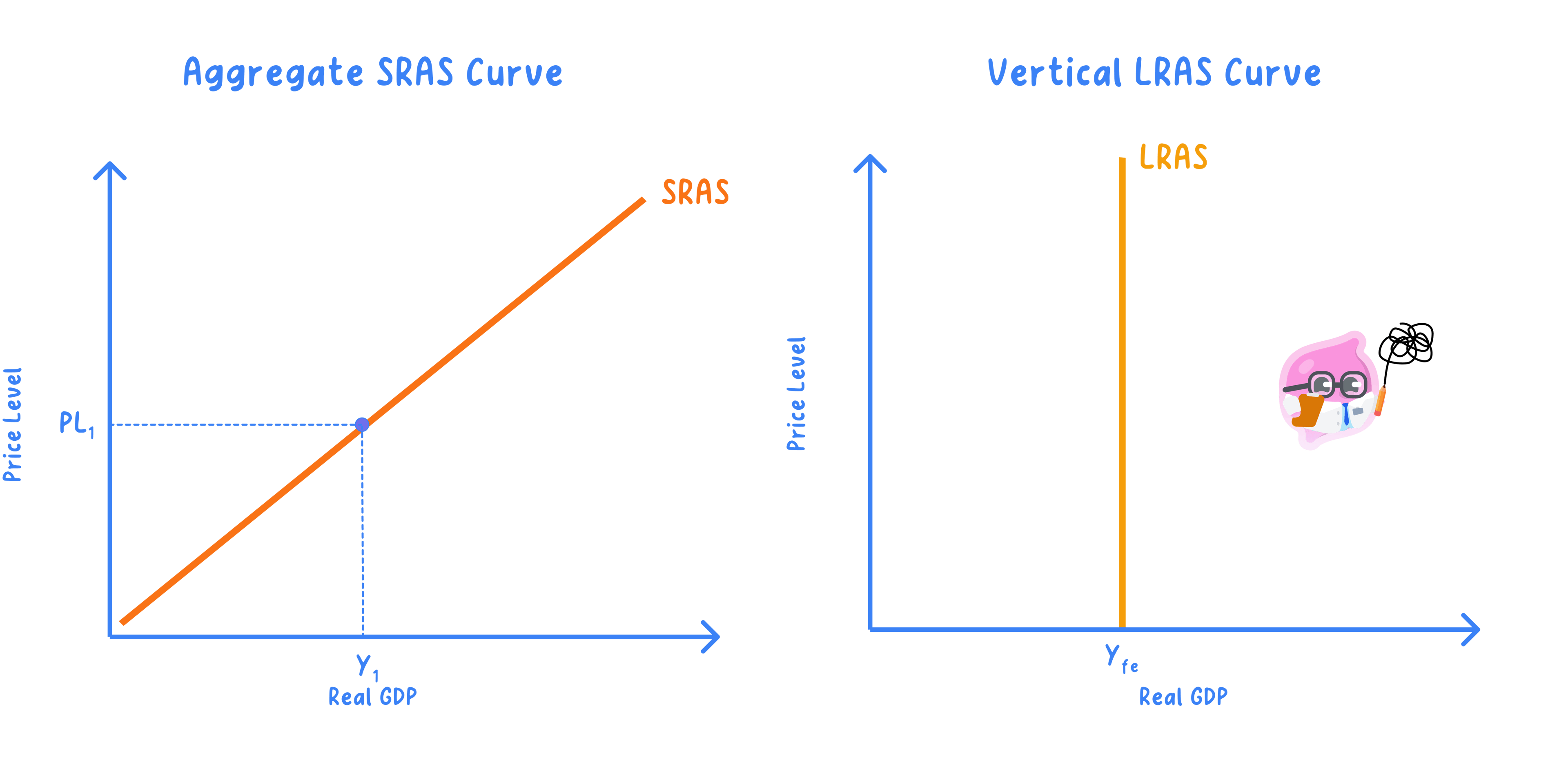 Shape of the AS curve in the short run and the long run