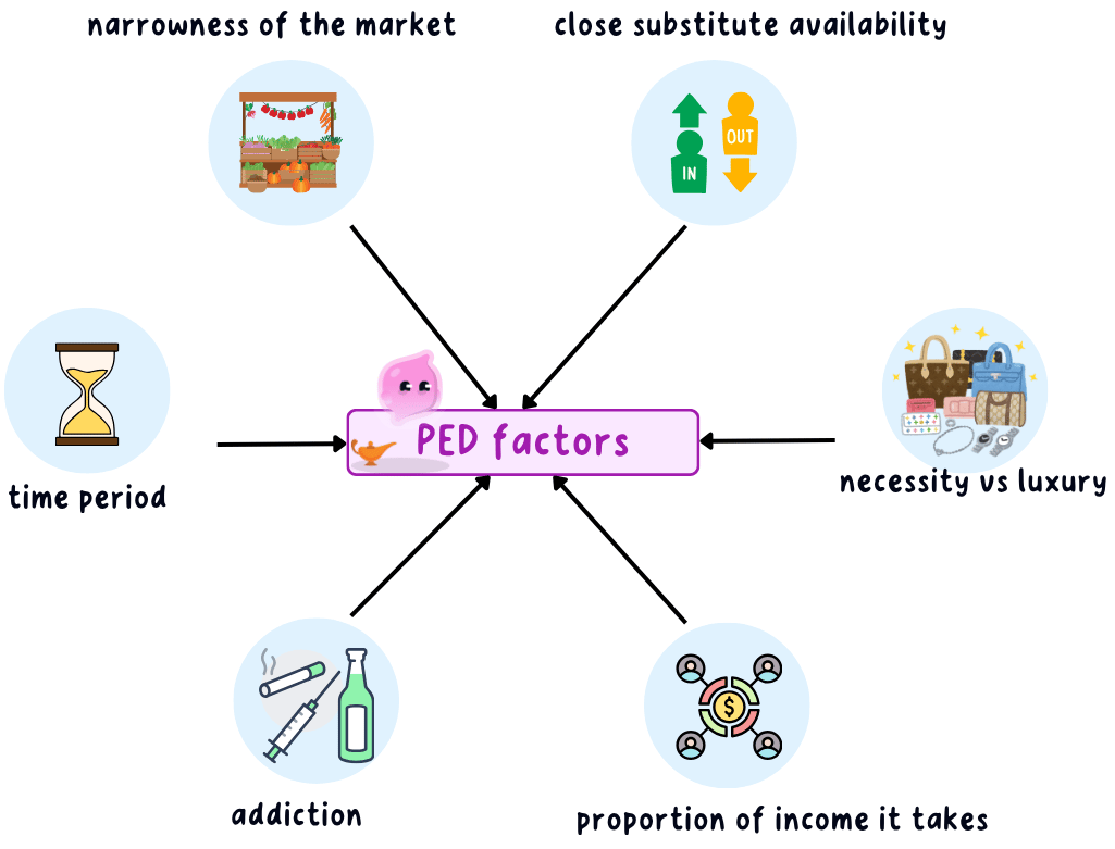 Six factors drawn as arrows pointing into a box labelled PED factors: narrowness of the market, close substitute availability, necessity versus luxury, the proportion of income it takes, addiction and the time period.
