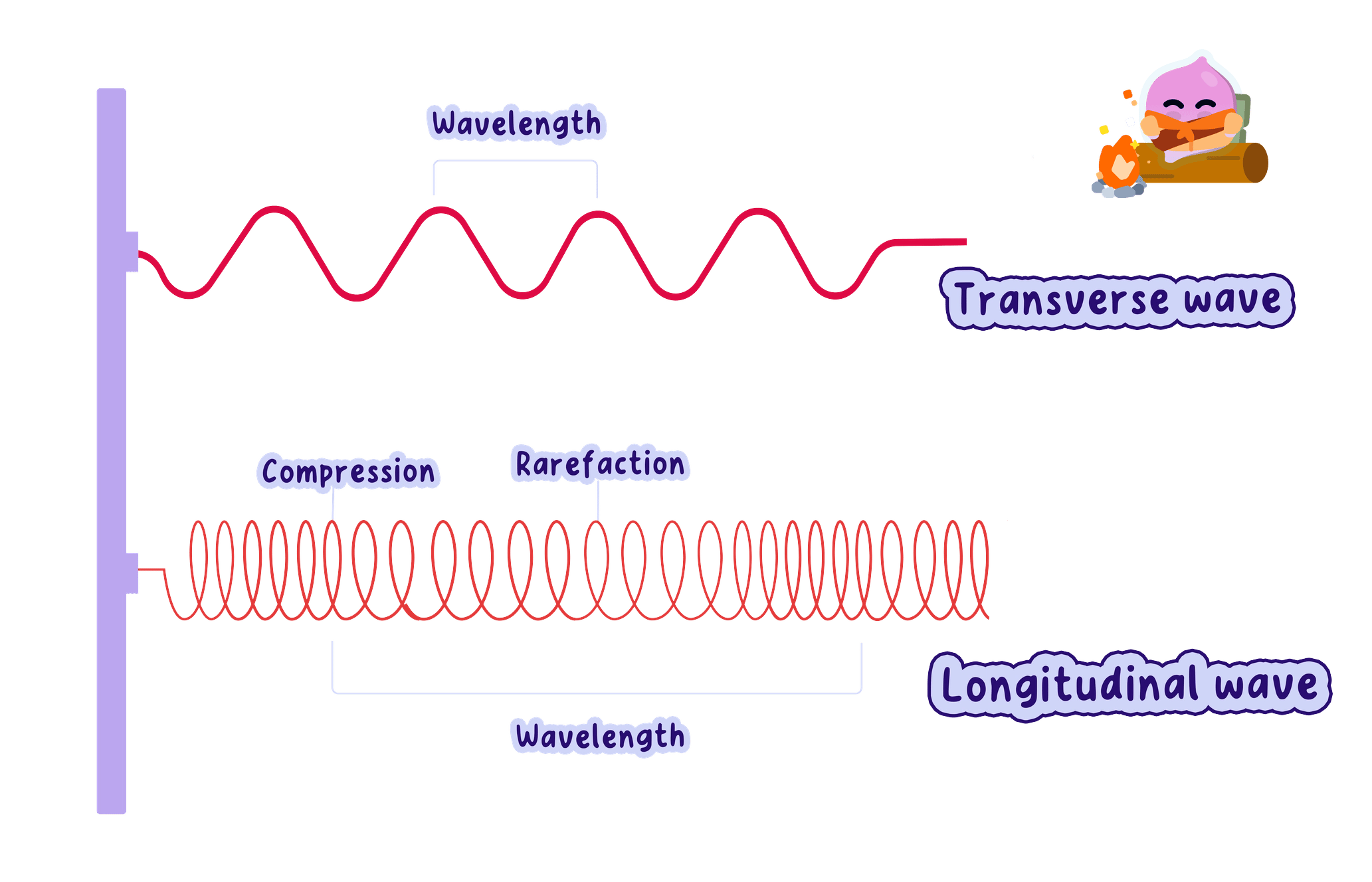transverse-and-longitudinal-waves-26814283-genie.png