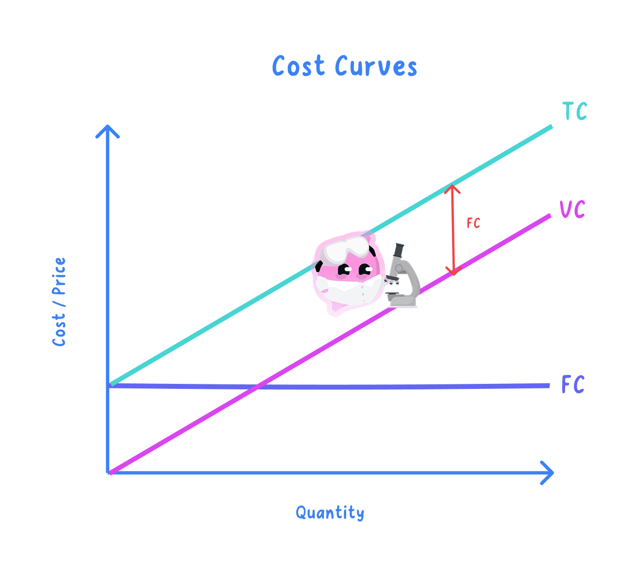 A graph titled Cost Curves with Cost / Price on the vertical axis and Quantity on the horizontal axis, showing a flat line labelled FC, an upward-sloping line from the origin labelled VC, and a parallel line above it labelled TC, with an arrow marking the vertical gap between VC and TC as FC.