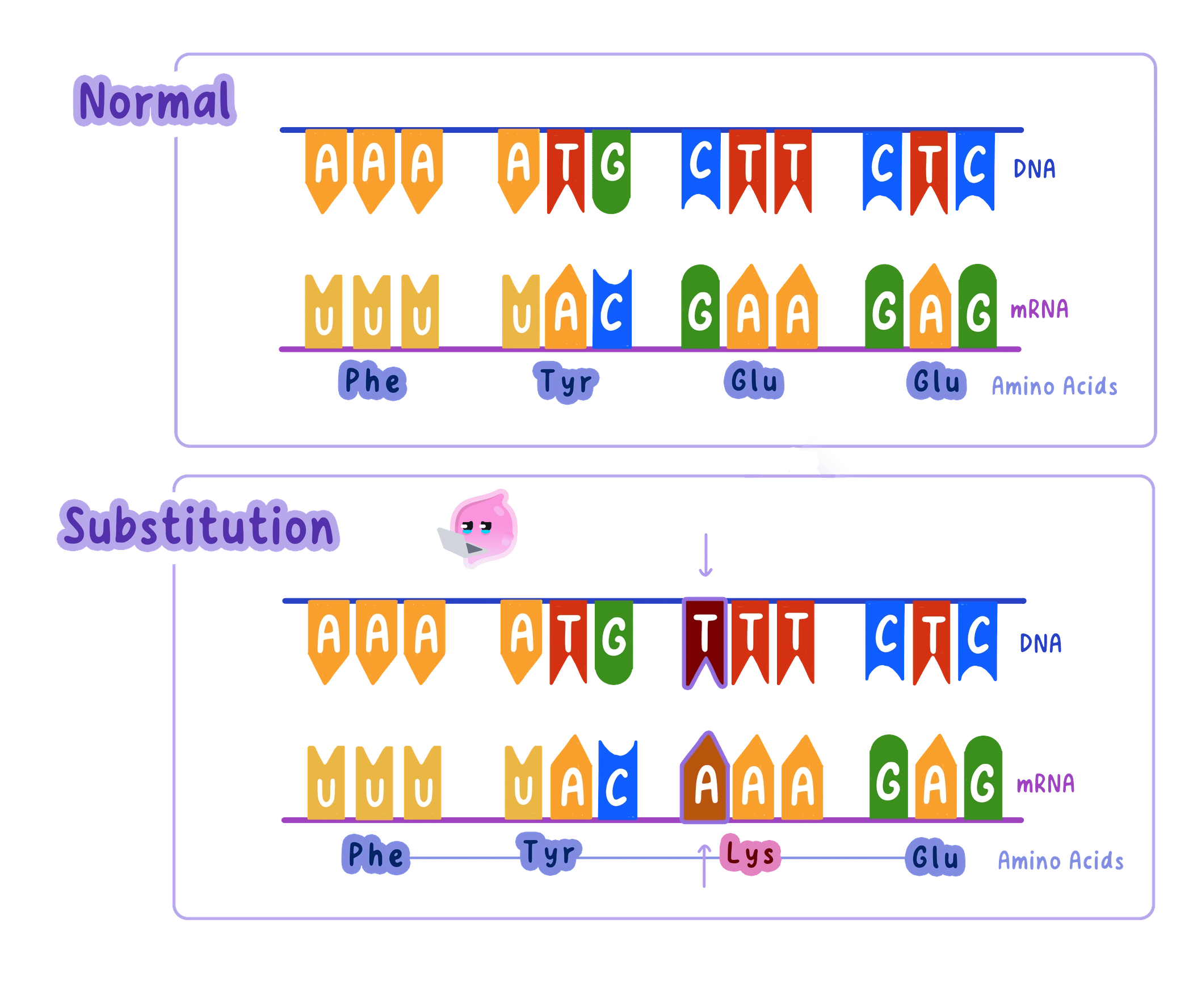 A diagram comparing a normal DNA sequence with a substitution mutation. A single base change (C to T) in the DNA triplet CTT results in TTT, changing the mRNA codon from GAA to AAA and the amino acid from Glu to Lys, altering the protein's amino acid sequence.