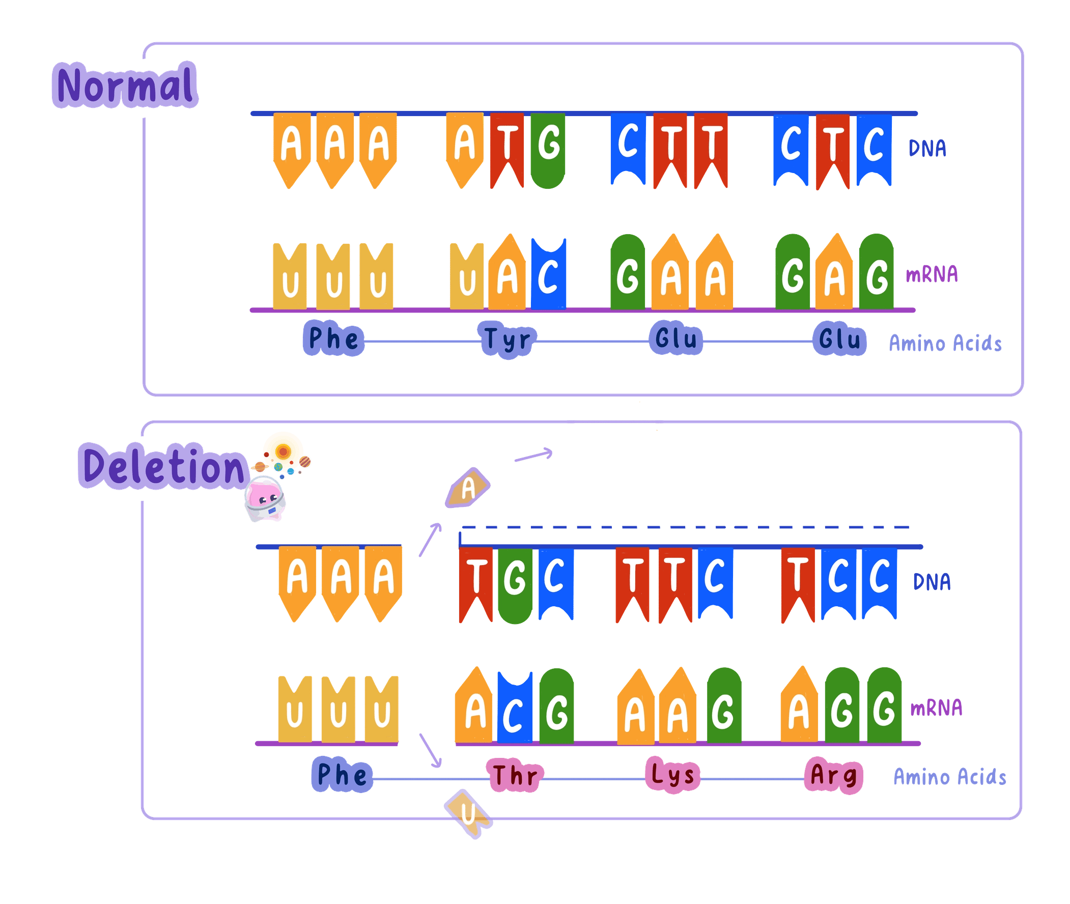 A base removed from a gene, which shifts the grouping of every triplet after it and changes the amino acids from that point on.