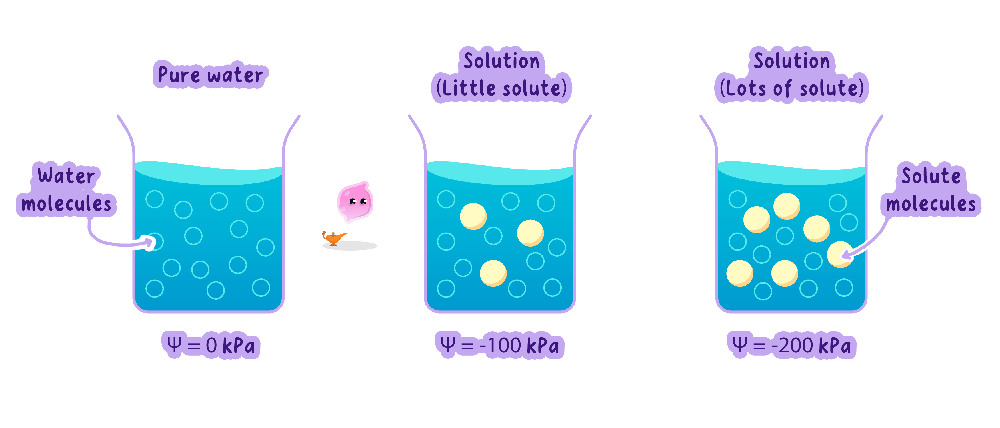 A diagram showing how adding solute to water decreases its water potential. Pure water has a water potential of 0 kPa, while solutions with more solute have increasingly negative water potential values, such as -100 kPa and -200 kPa.