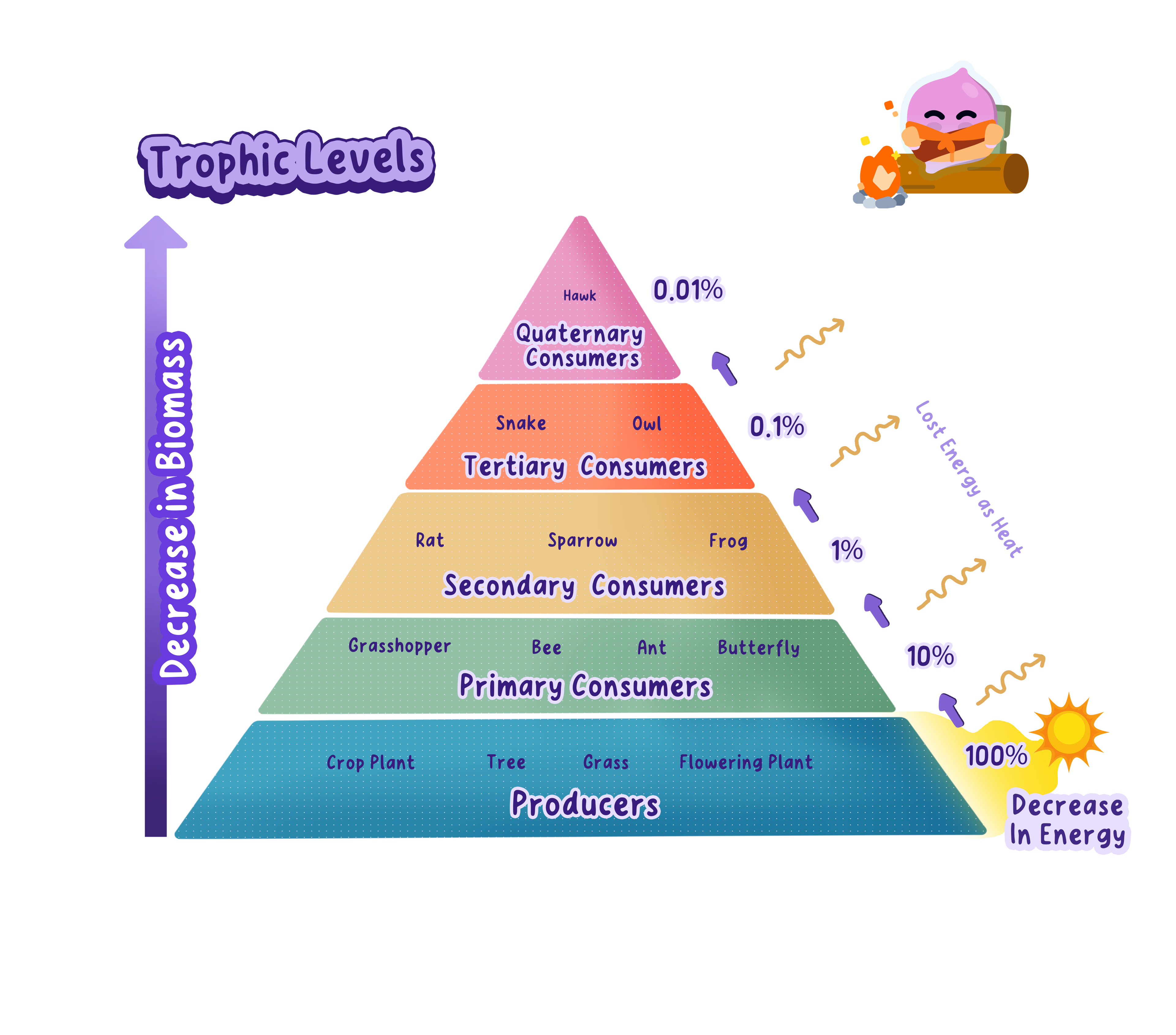 A food chain drawn as trophic levels: a producer at level 1, a herbivore at level 2, and carnivores at levels 3 and 4, each eating the level below.