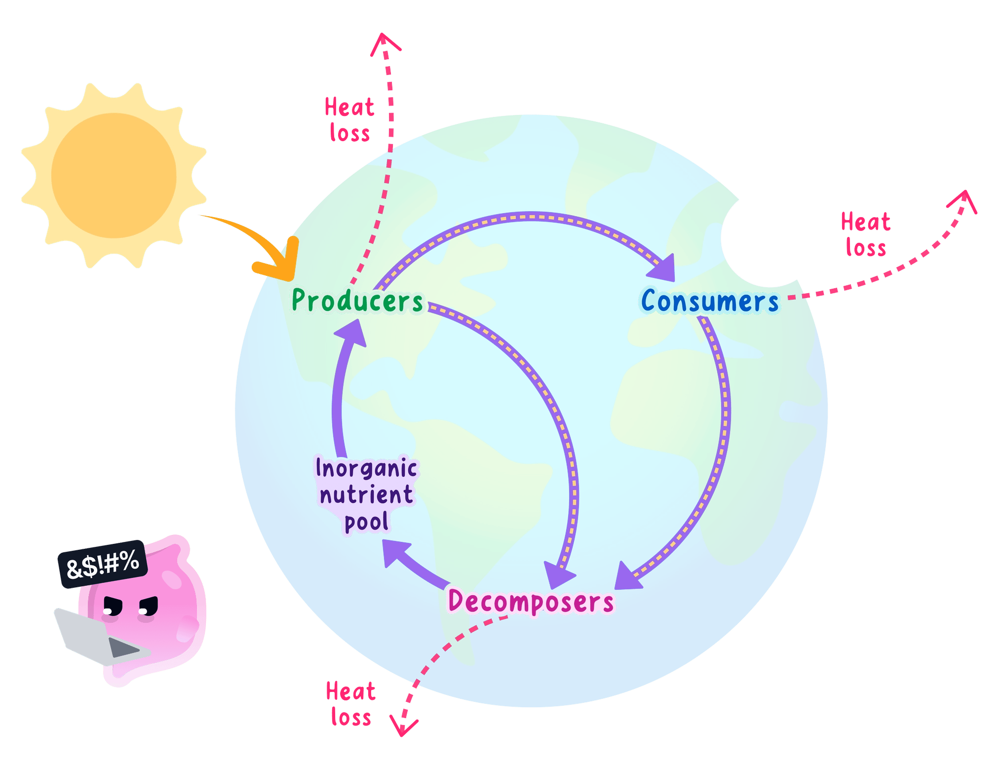 Energy from the Sun flows one way through producers, consumers and decomposers and is lost as heat, while nutrients are recycled back to the producers.