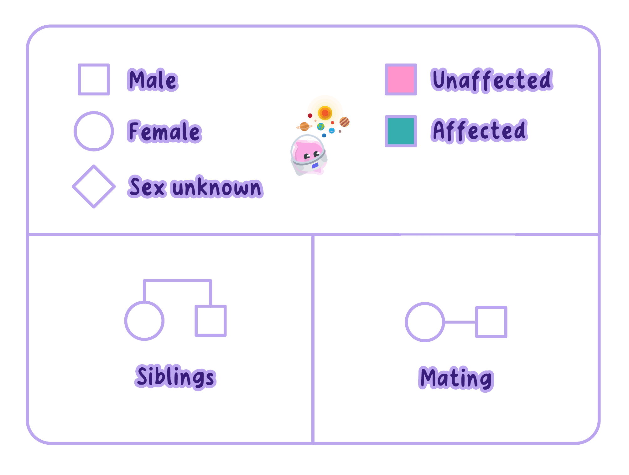 A guide to standard pedigree chart symbols, showing squares for males, circles for females, and diamonds for unknown sex. It also illustrates how affected and unaffected individuals are represented, along with the lines used to indicate mating and siblings.