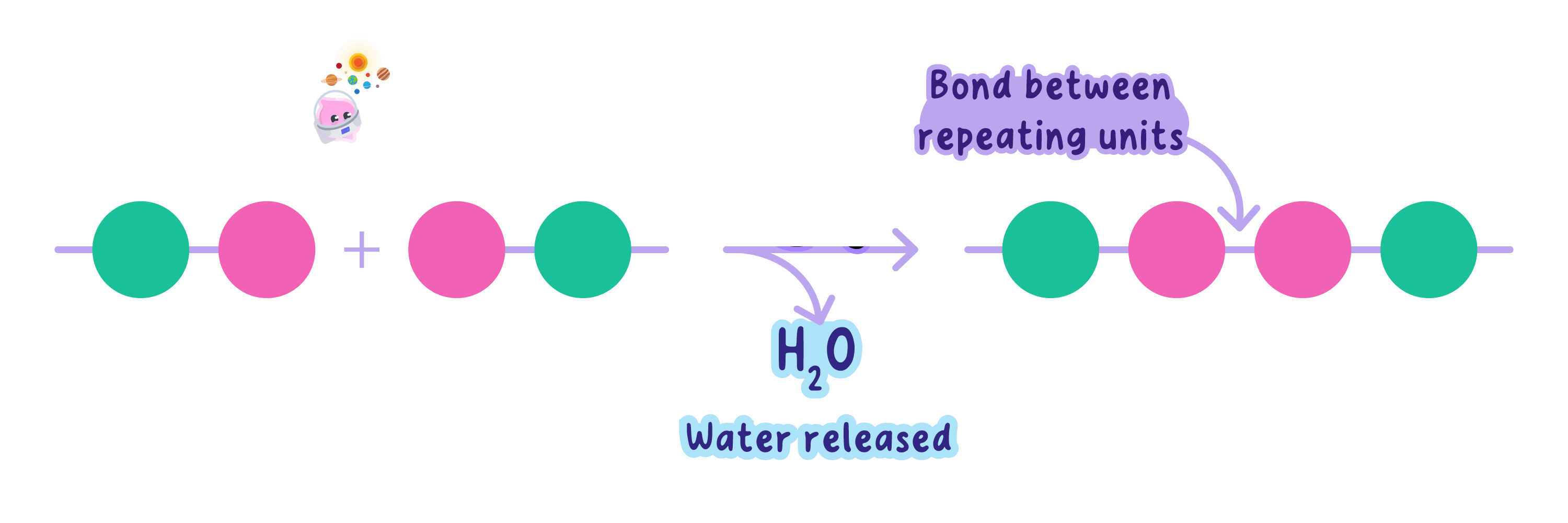 A diagram showing a condensation reaction where two chains of repeating units are joined together by a covalent bond, with the release of a water molecule (H2O). This process is also known as dehydration synthesis.