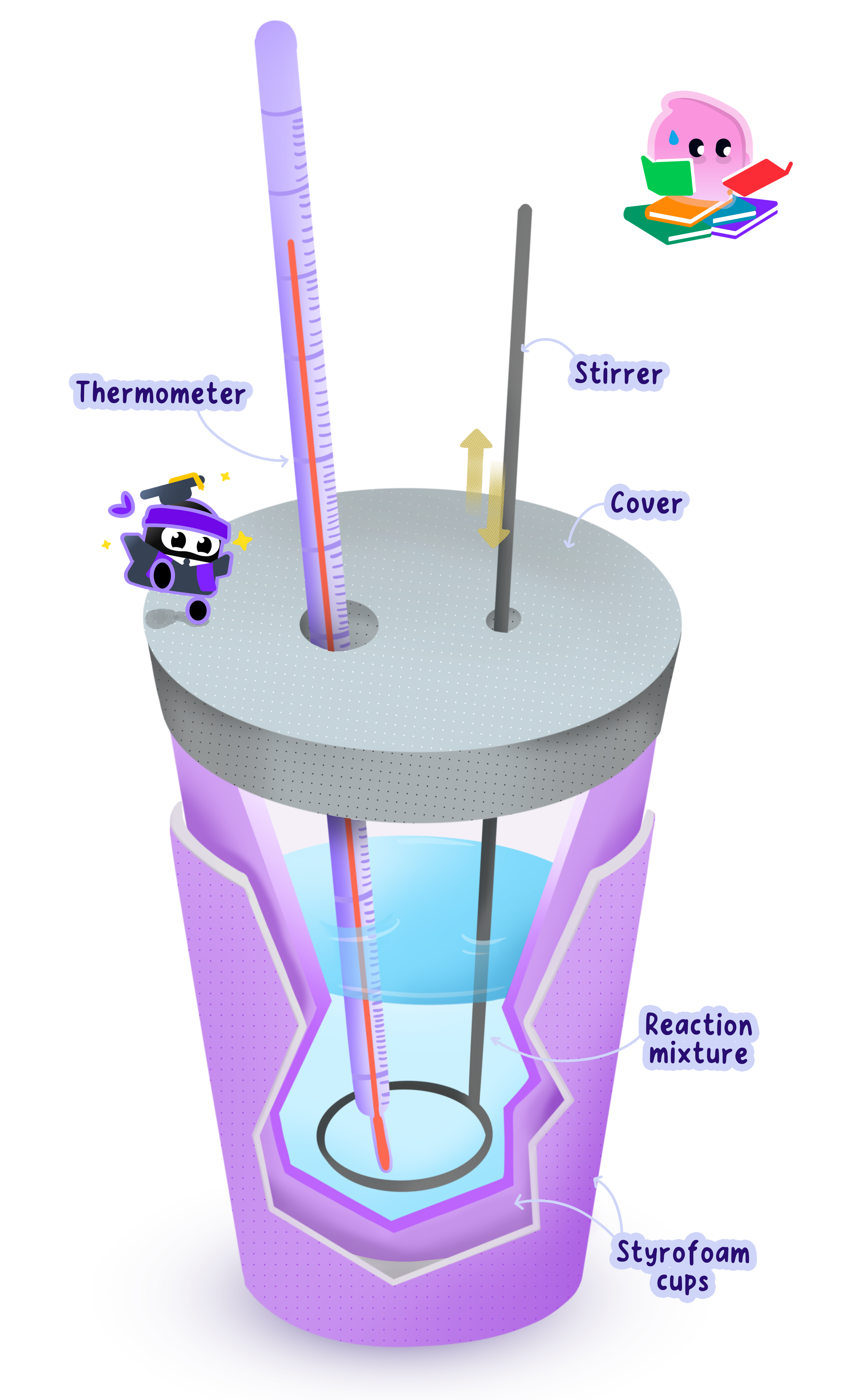 A diagram of a coffee-cup calorimeter setup, showing two nested Styrofoam cups containing a reaction mixture, a lid with holes for a thermometer and a stirrer.