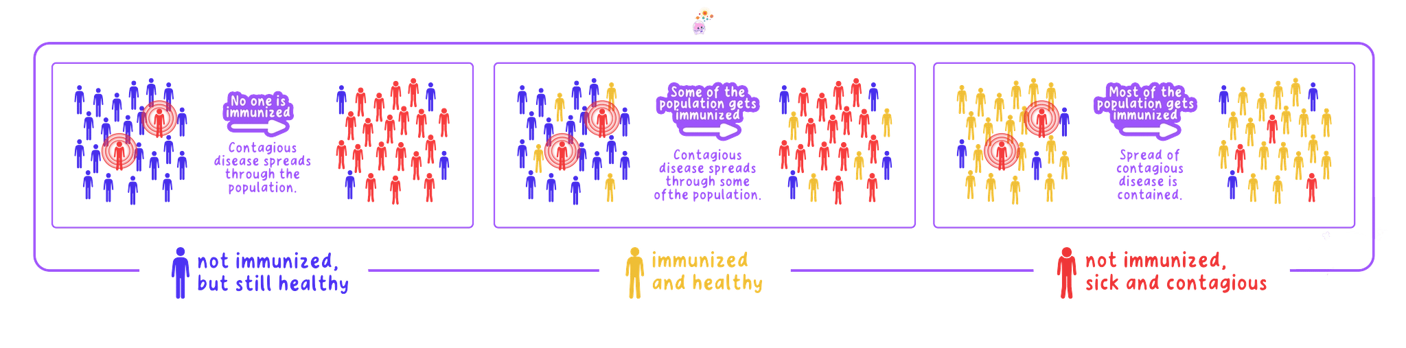 Herd immunity limiting transmission when most people in a population are immune.