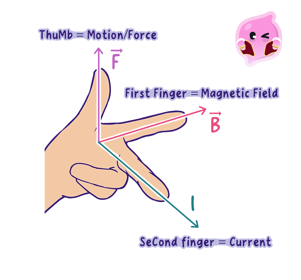 A diagram of a left hand showing Fleming's left-hand rule. The thumb, first finger, and second finger are held at right angles to each other. The thumb represents motion or force (F), the first finger represents the magnetic field (B), and the second finger represents the current (I).