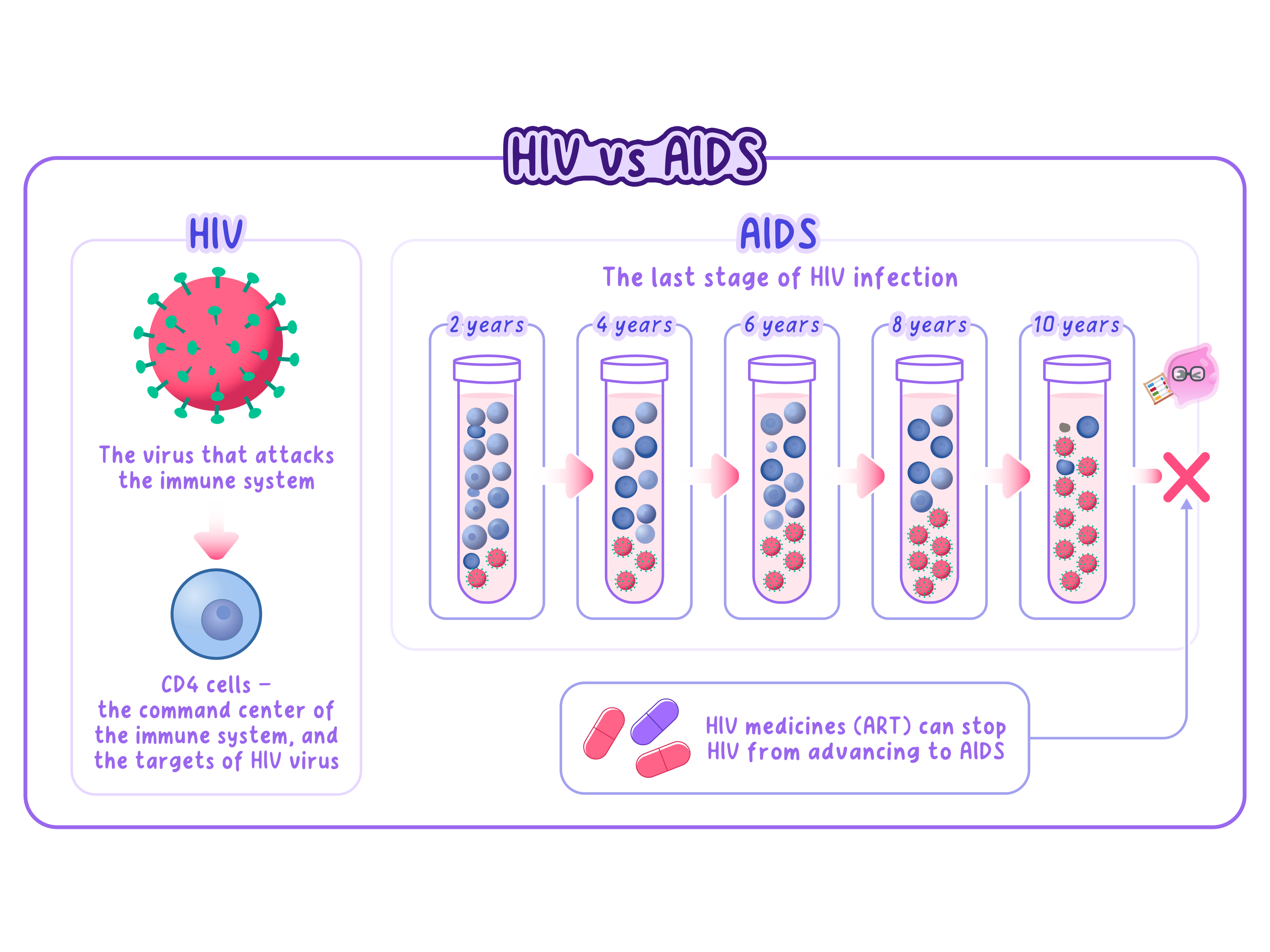 The course of an untreated HIV infection, showing the virus destroying CD4 cells so that CD4 numbers fall and virus numbers rise over several years until AIDS develops, and how antiretroviral therapy holds the CD4 count up and prevents that progression.