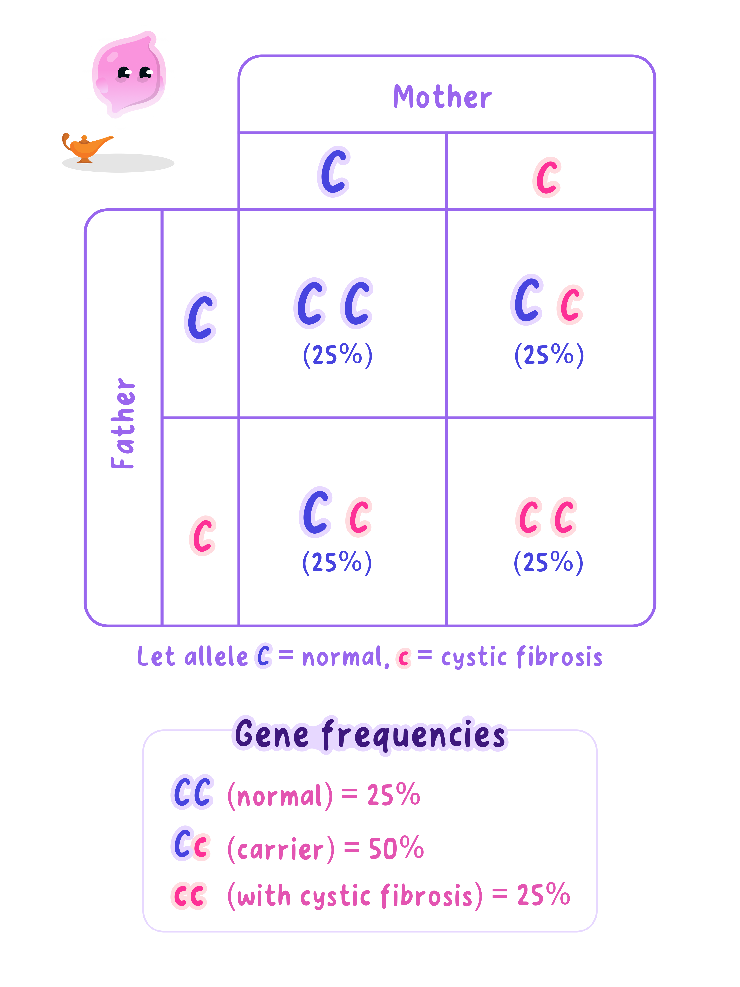A Punnett square for two cystic fibrosis carriers, giving a 1 in 4 chance of an affected child, a 1 in 2 chance of a carrier, and a 1 in 4 chance of a child with two normal alleles.