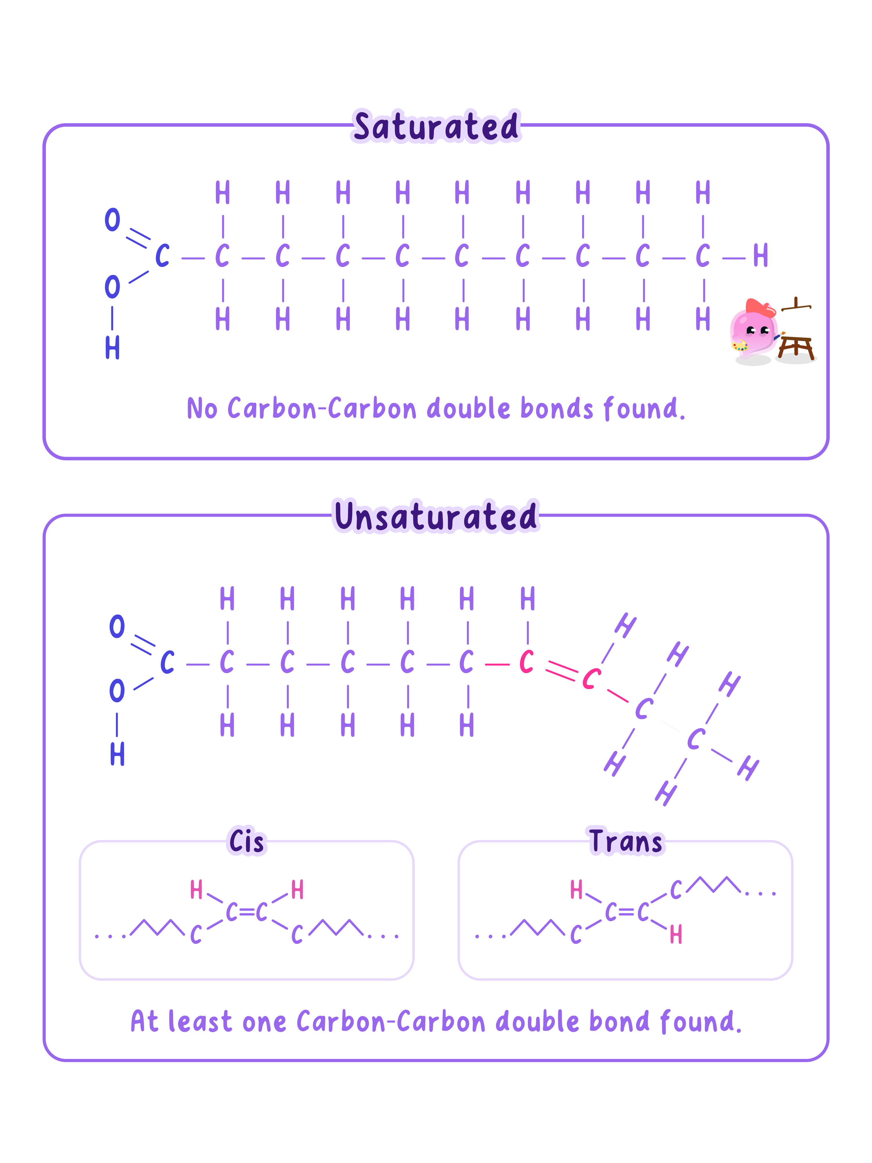 A straight saturated chain beside a kinked unsaturated one, the difference in shape that decides whether a lipid is a solid fat or a liquid oil.
