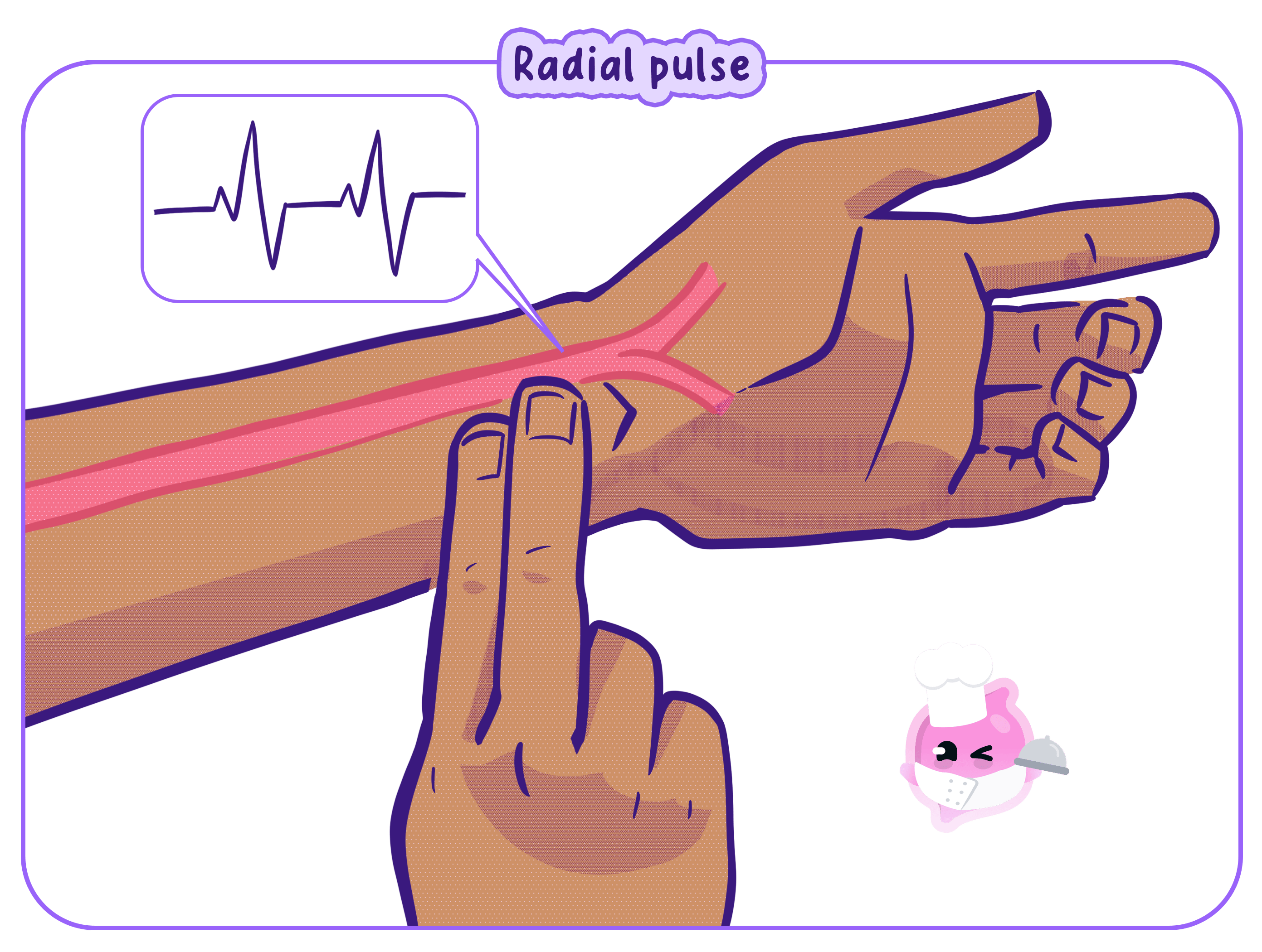 An illustration showing how to measure the radial pulse by placing two fingers on the wrist, where the radial artery is located near the skin.