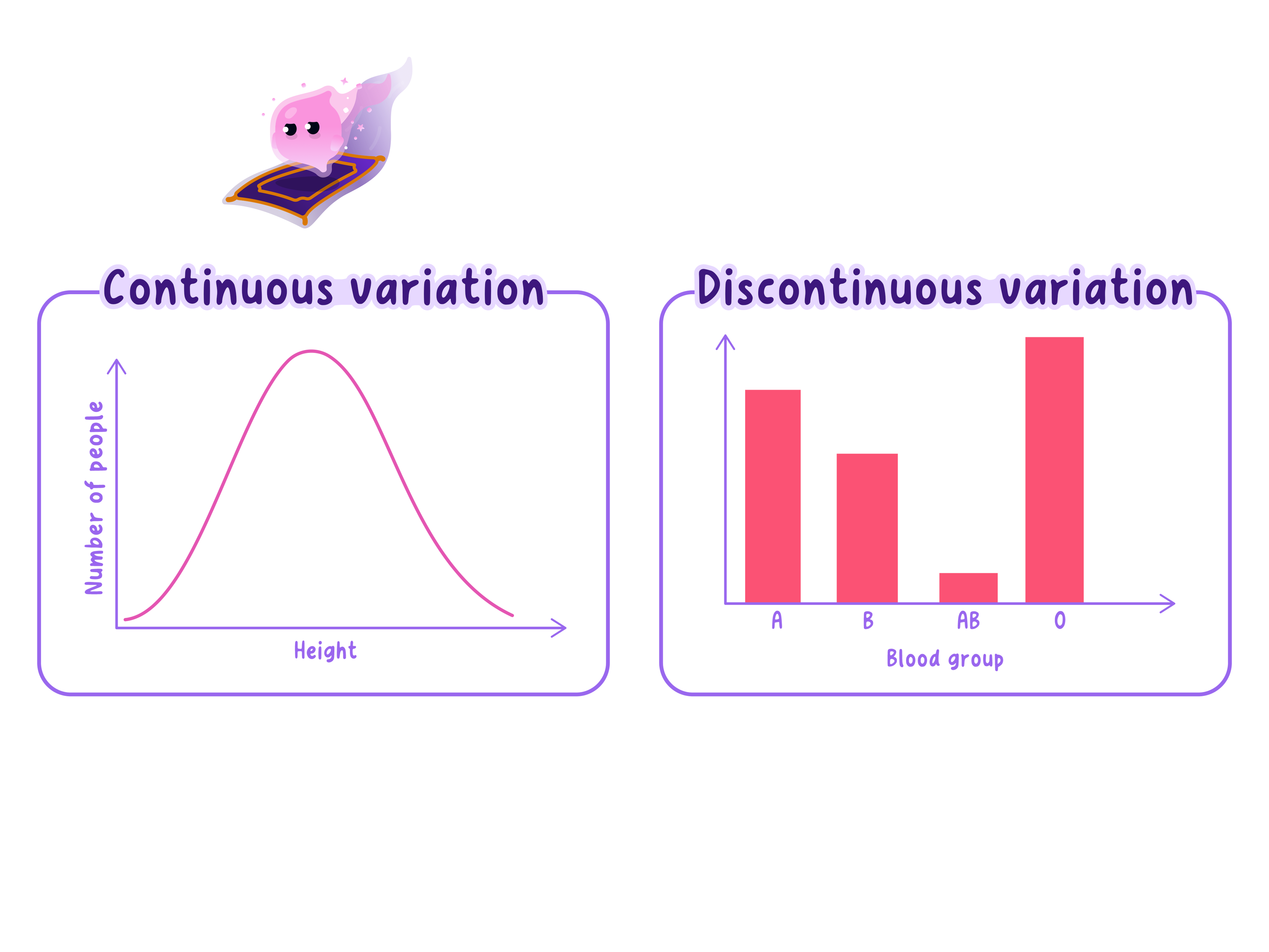 A histogram for continuous height data beside a bar chart for discontinuous ABO blood groups.