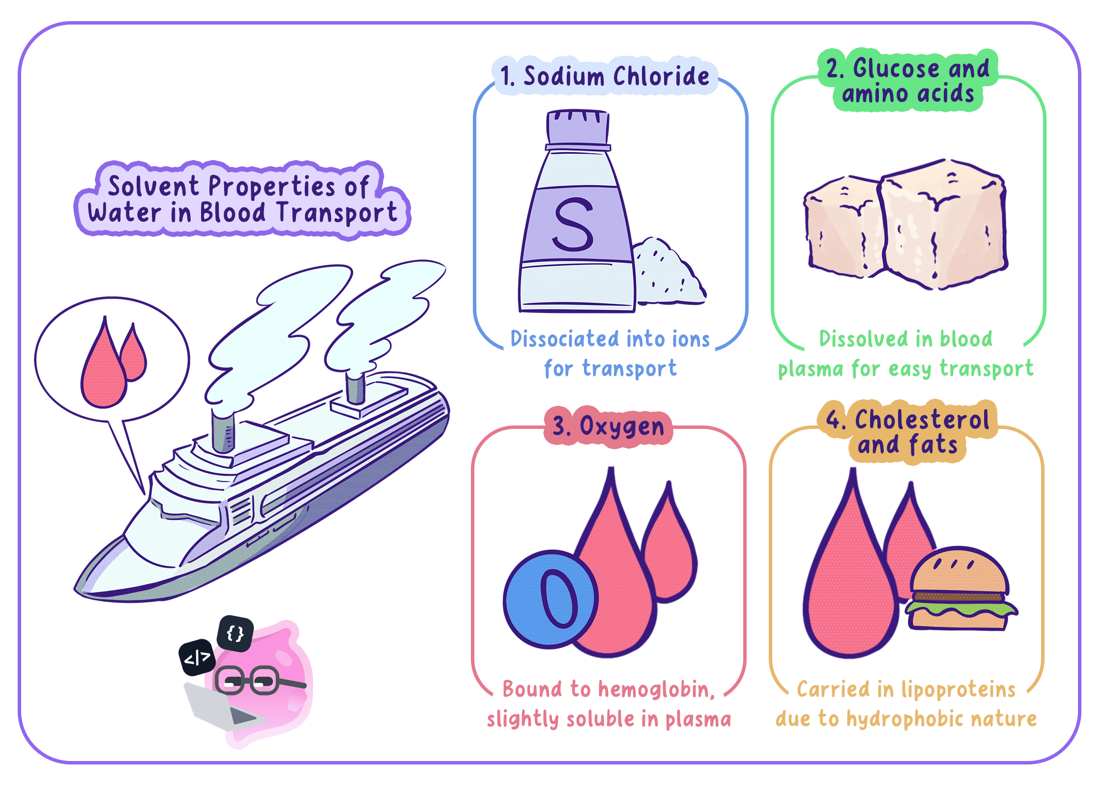 An illustration showing how different substances are transported in the blood: sodium chloride dissociates into ions, glucose and amino acids dissolve in plasma, oxygen binds to haemoglobin, and cholesterol and fats are carried in lipoproteins.