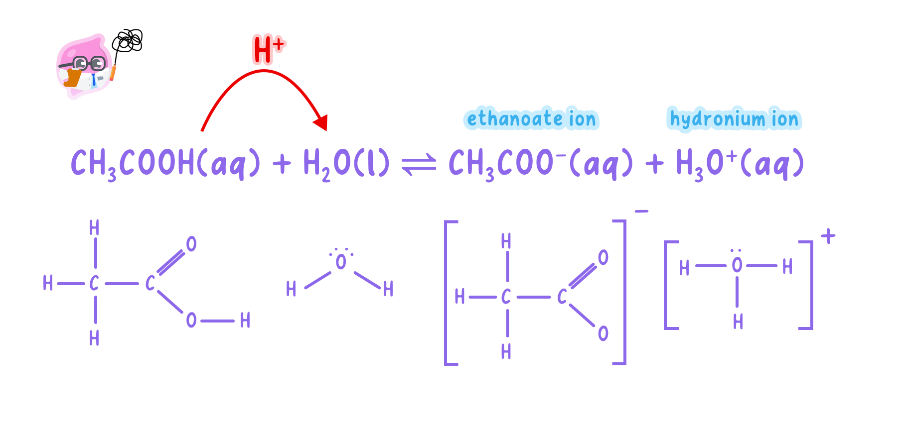 A chemical equation and structural diagrams showing ethanoic acid dissociating in water to release a hydrogen ion, which forms a hydronium ion. The ethanoate ion is also produced.